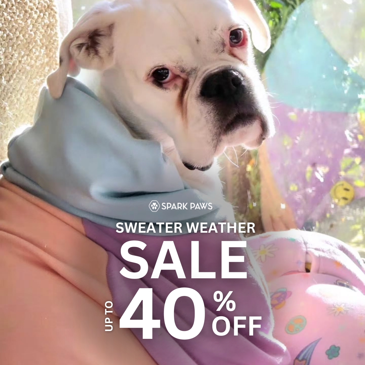 Spark Paws Facebook ad