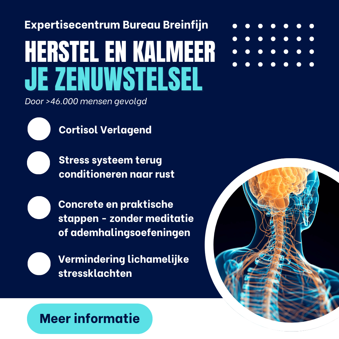 Bureau Breinfijn Facebook ad: Start zenuwstelsel herstel nu