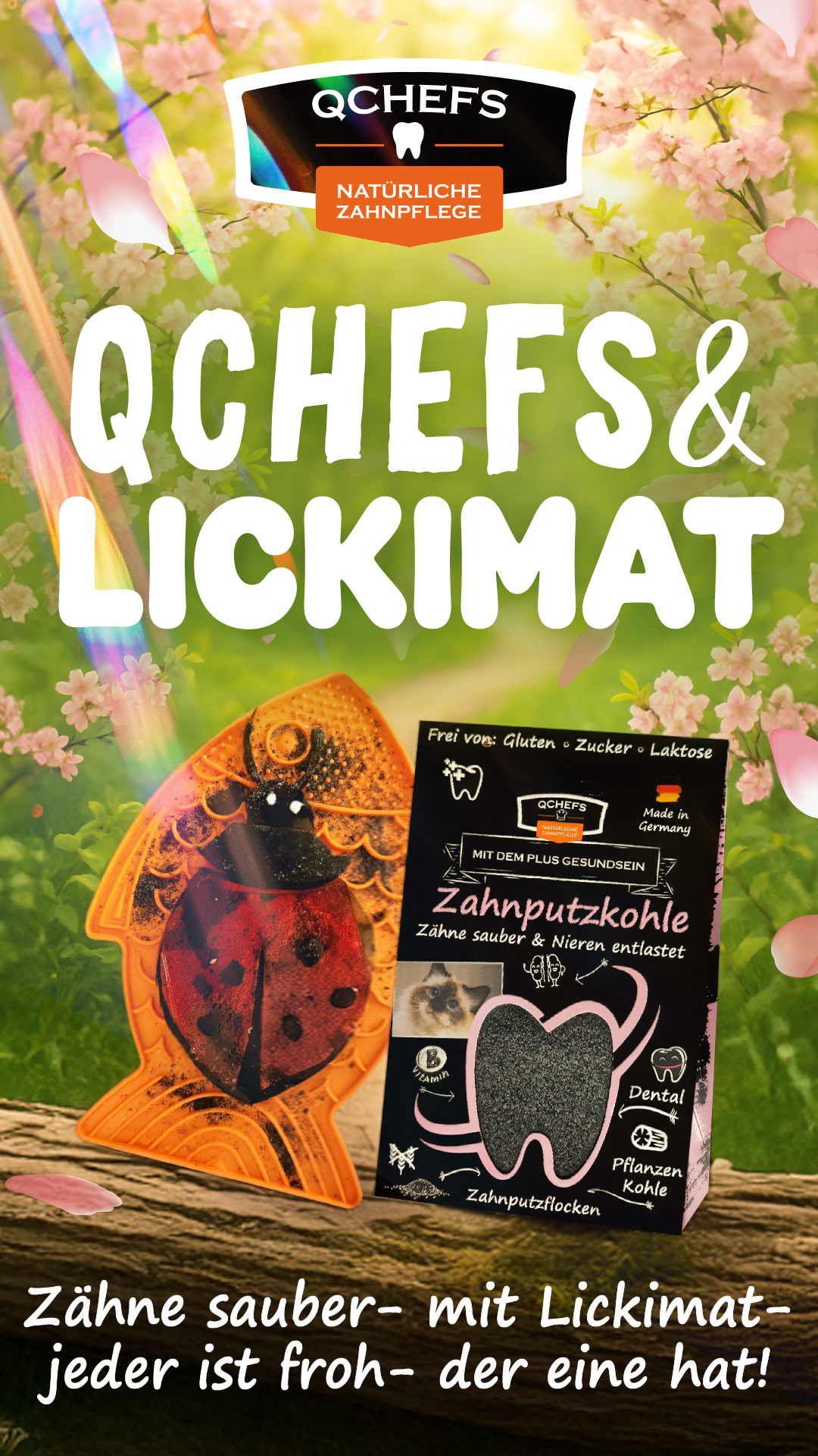 QCHEFSCats Facebook ad from Mar 24, 2026