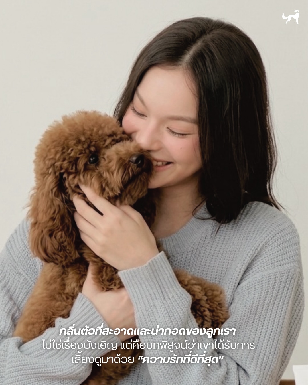 Fellower Dogs Facebook ad