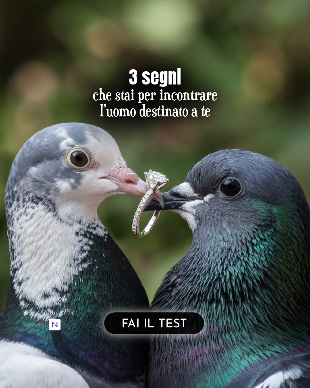 Nebula: Marriage Compatibility Facebook ad