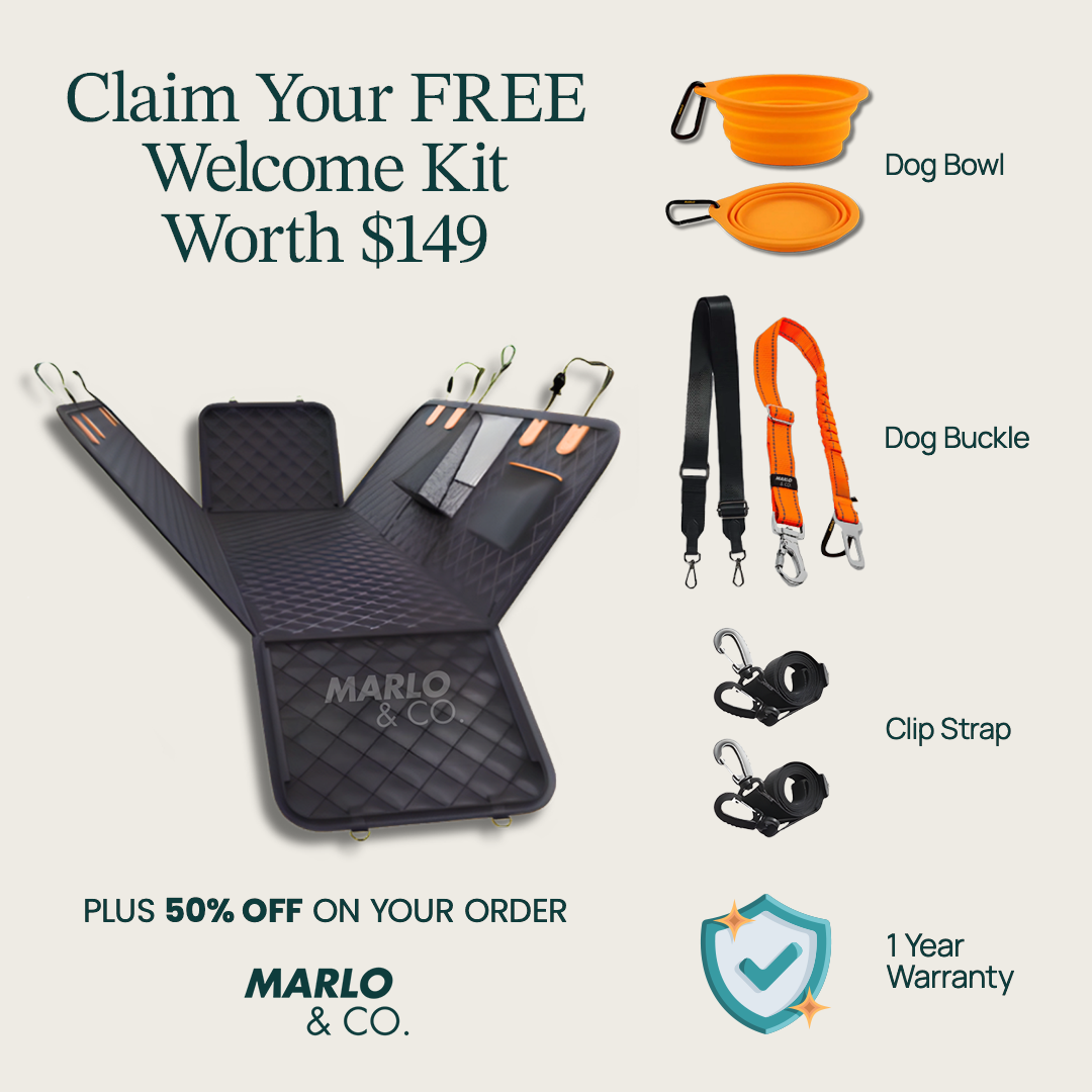 Marloandco Facebook ad