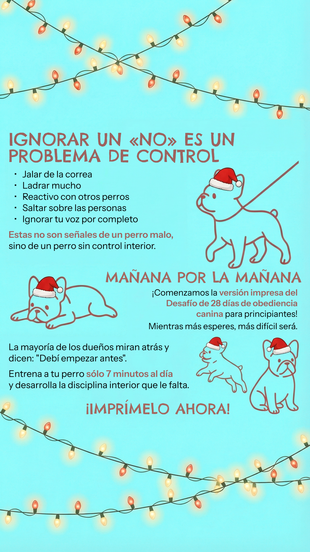 28 Day Dog Obedience Challenge Facebook ad