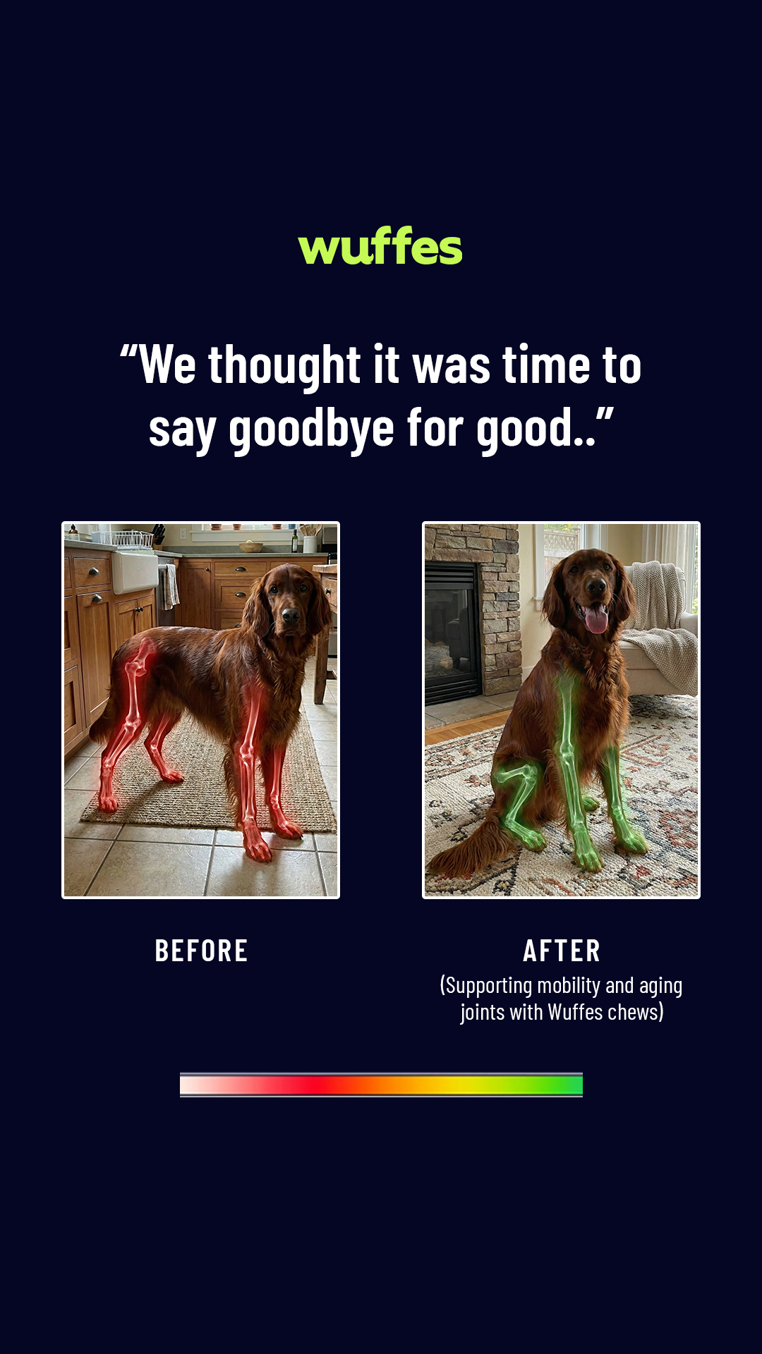 Everyday Pet Health Facebook ad
