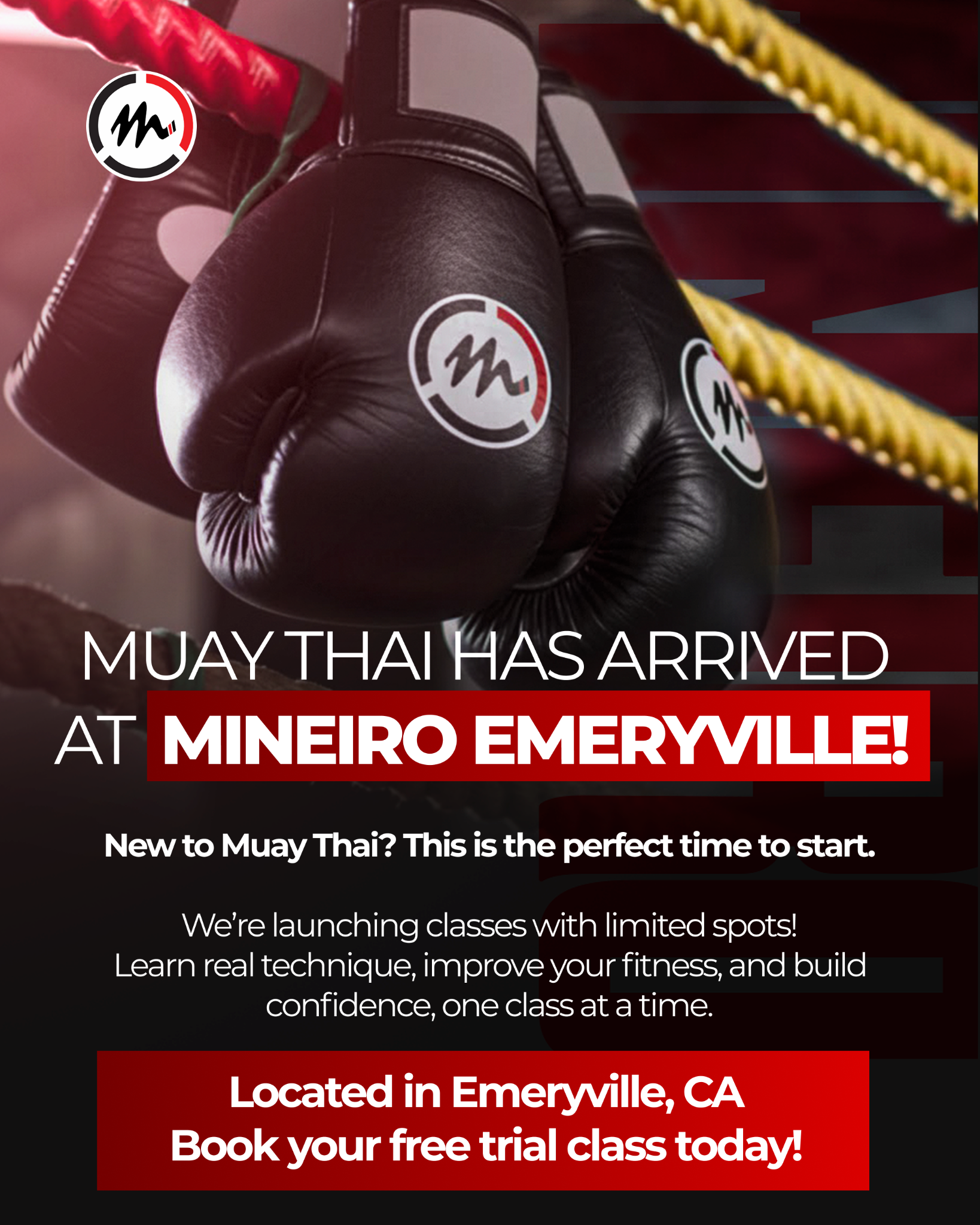 Mineiro BJJ Facebook ad from Jan 19, 2026