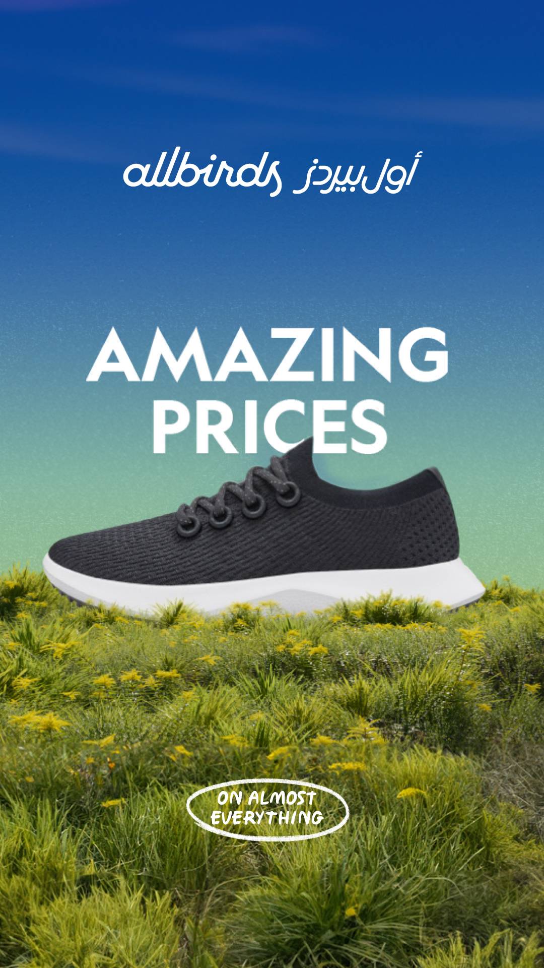 Allbirds ME Facebook ad