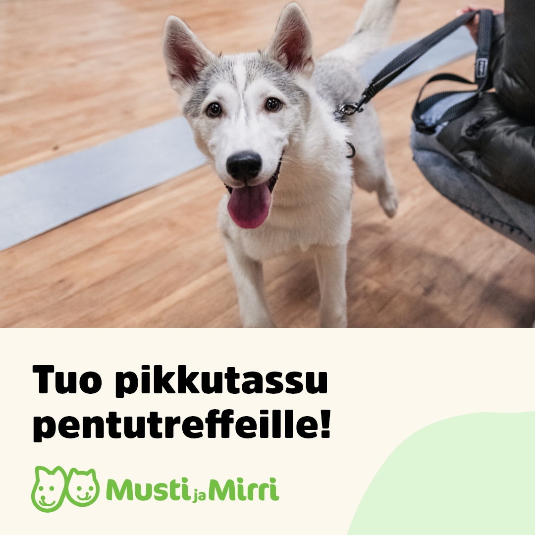 Musti ja Mirri Facebook ad