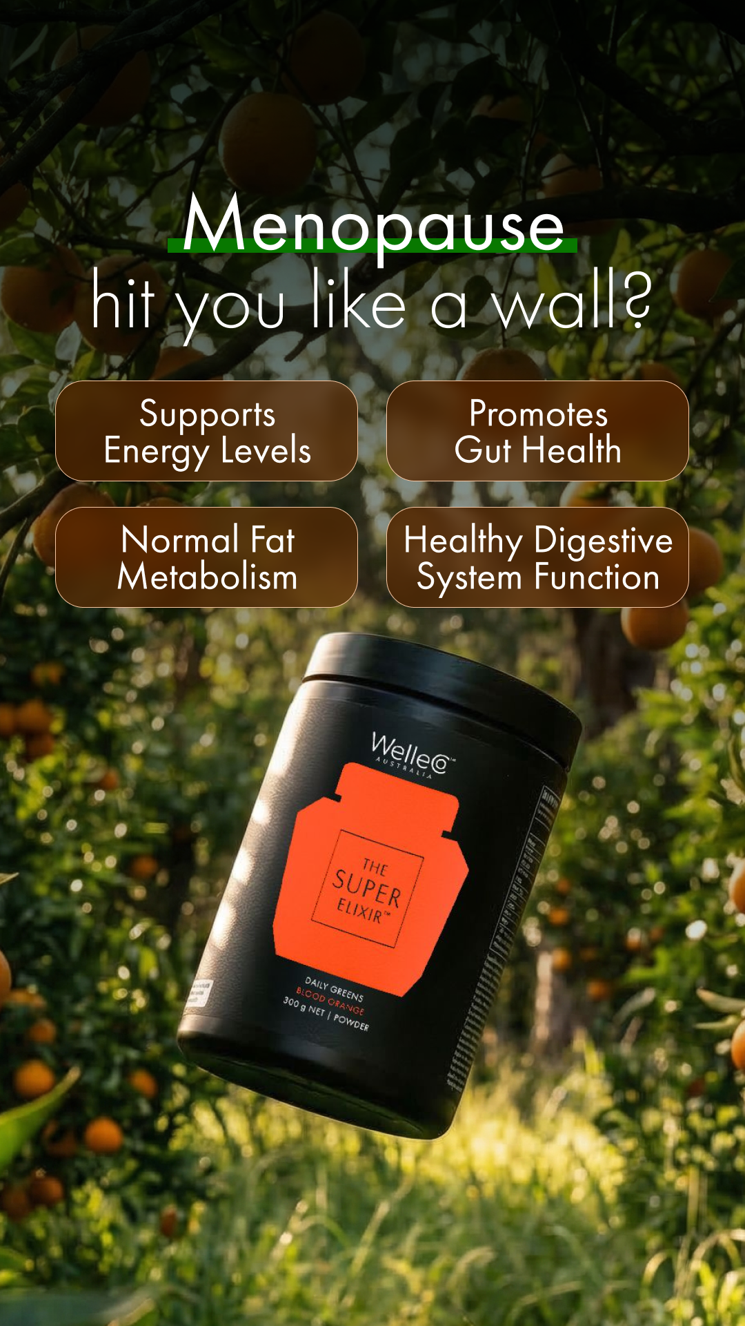 WelleCo Facebook ad