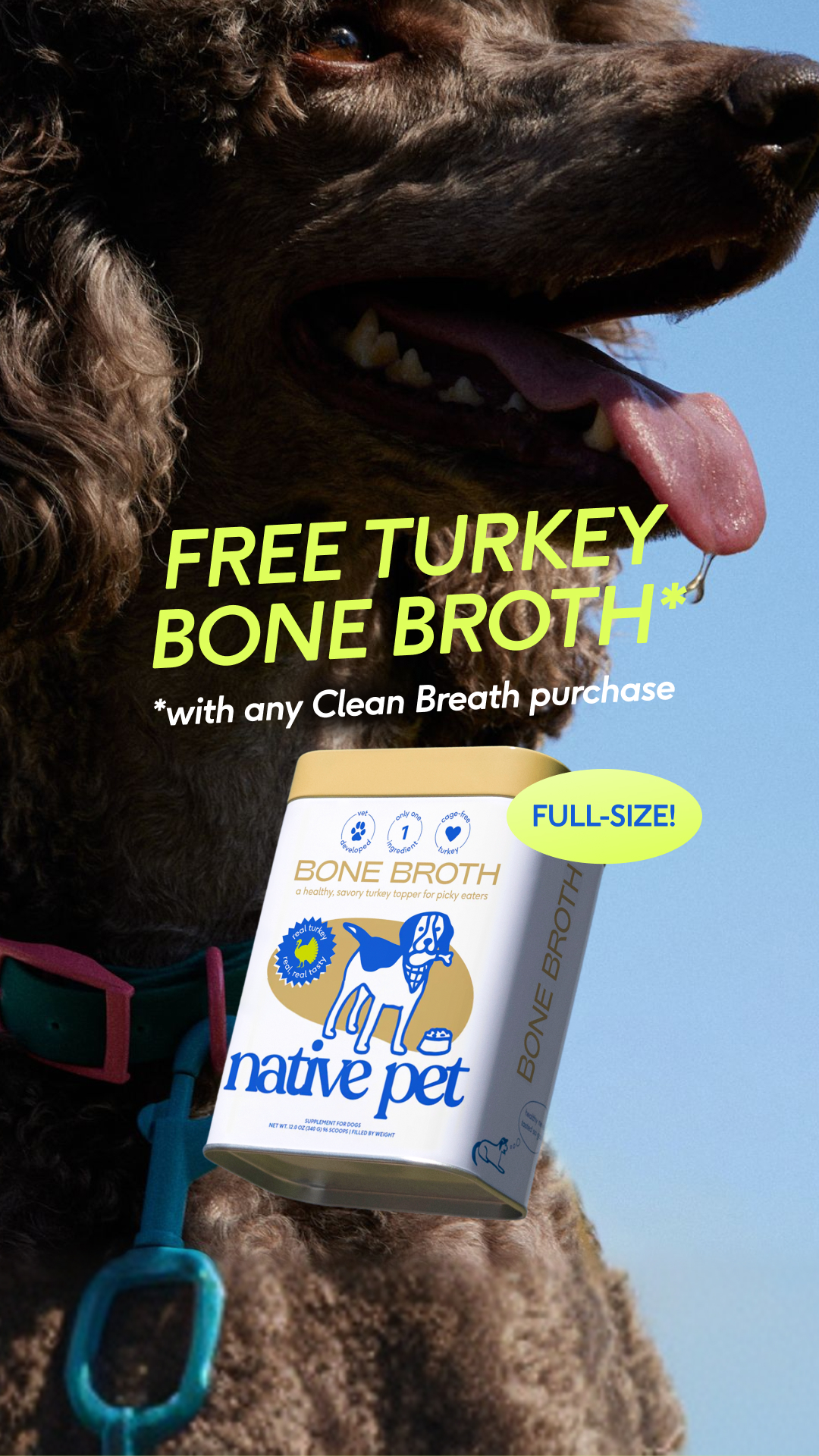 Native Pet Facebook ad