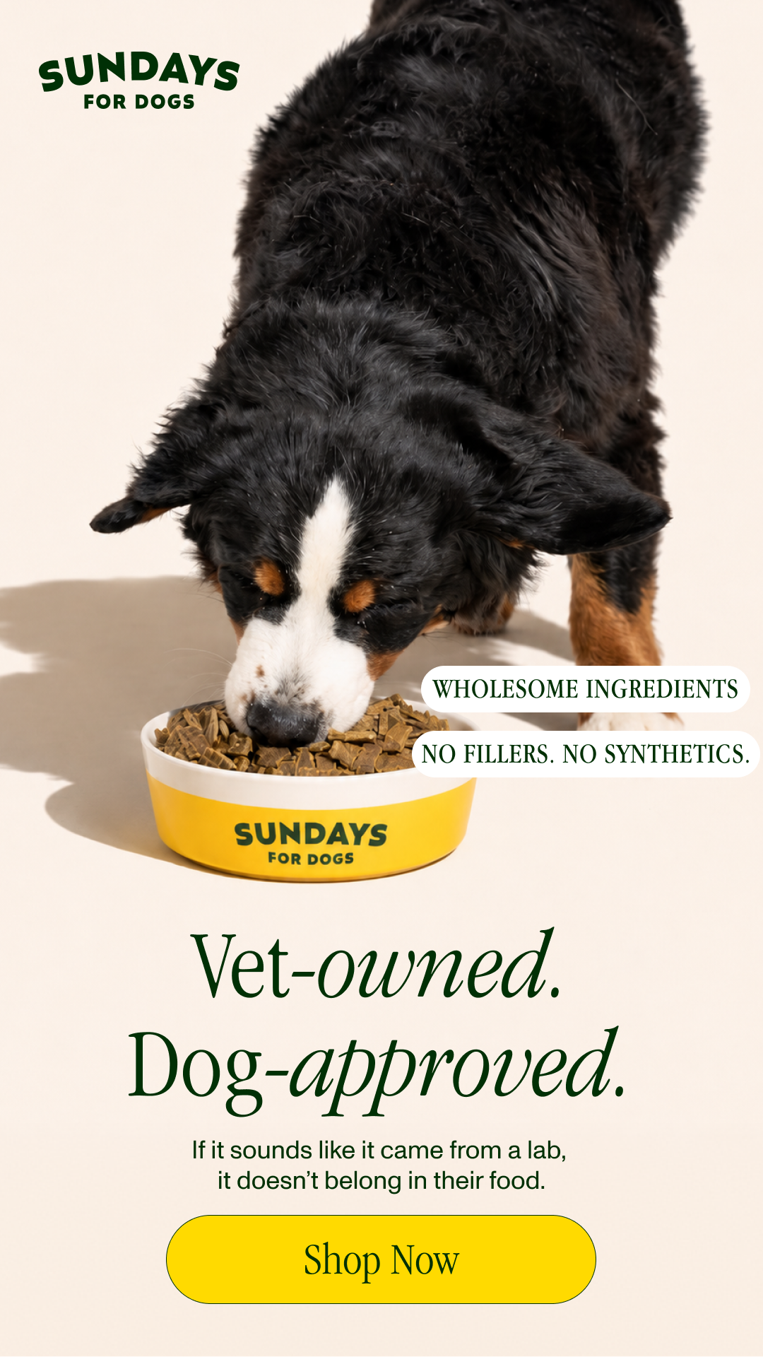 Sundays Facebook ad