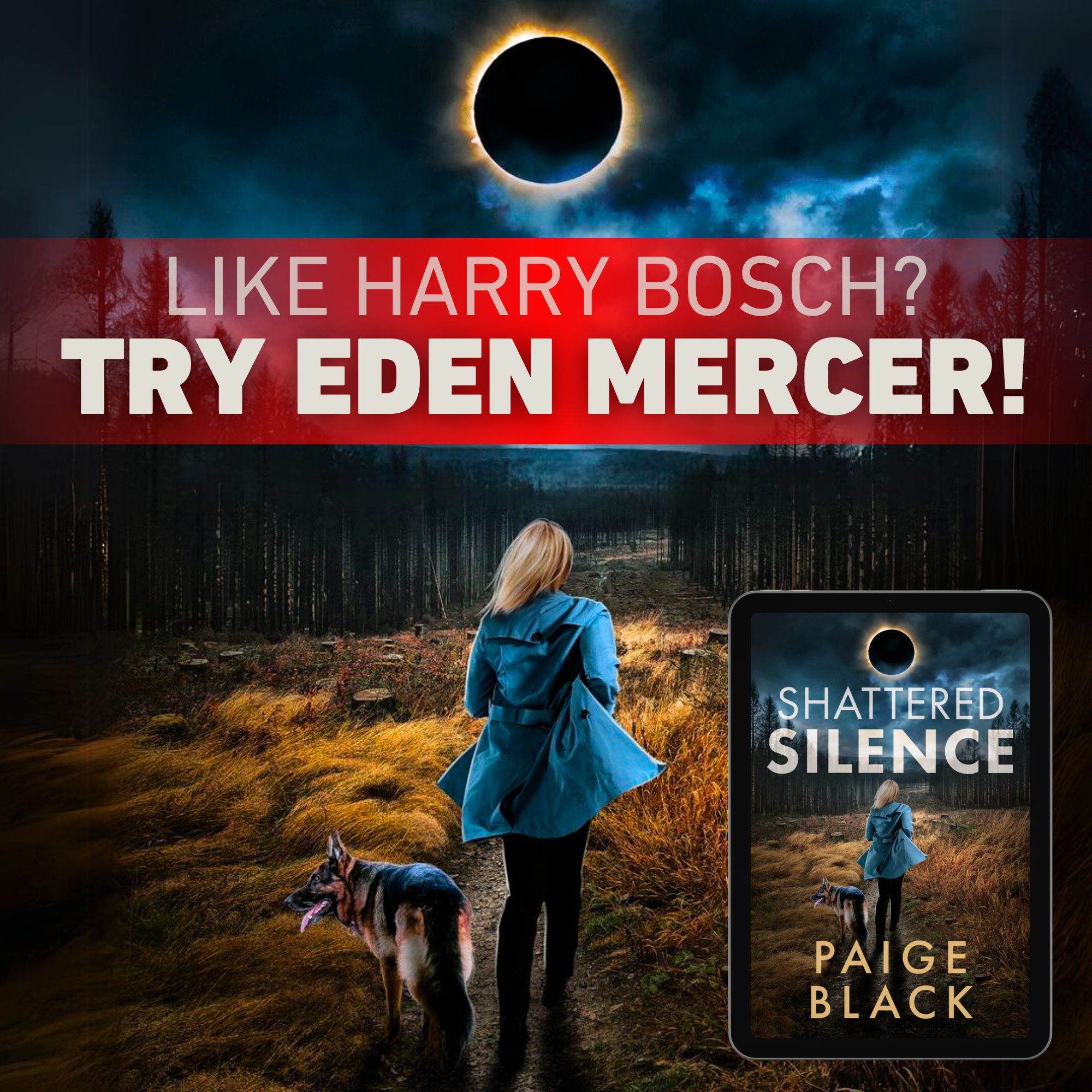 Paige Black Books Facebook ad