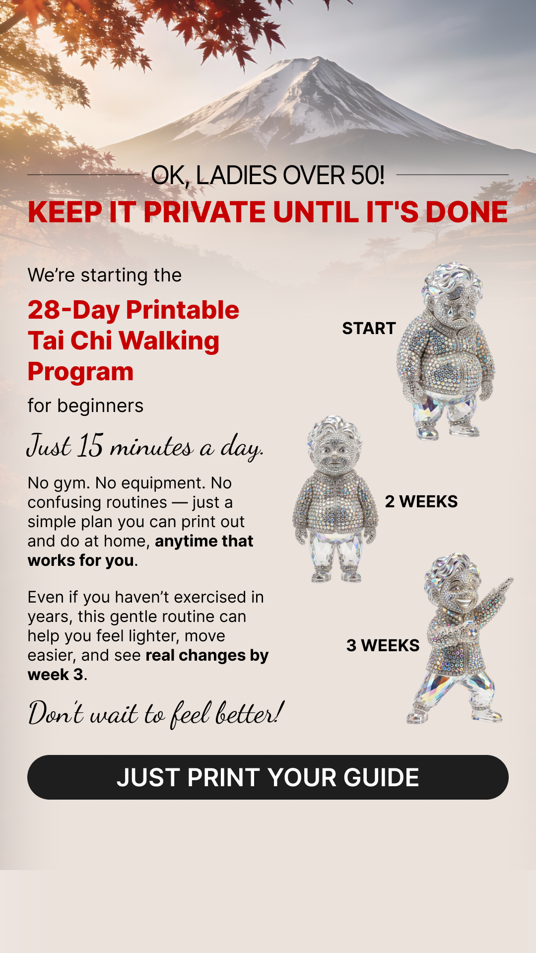 Мy 28 Day Challenge Facebook ad