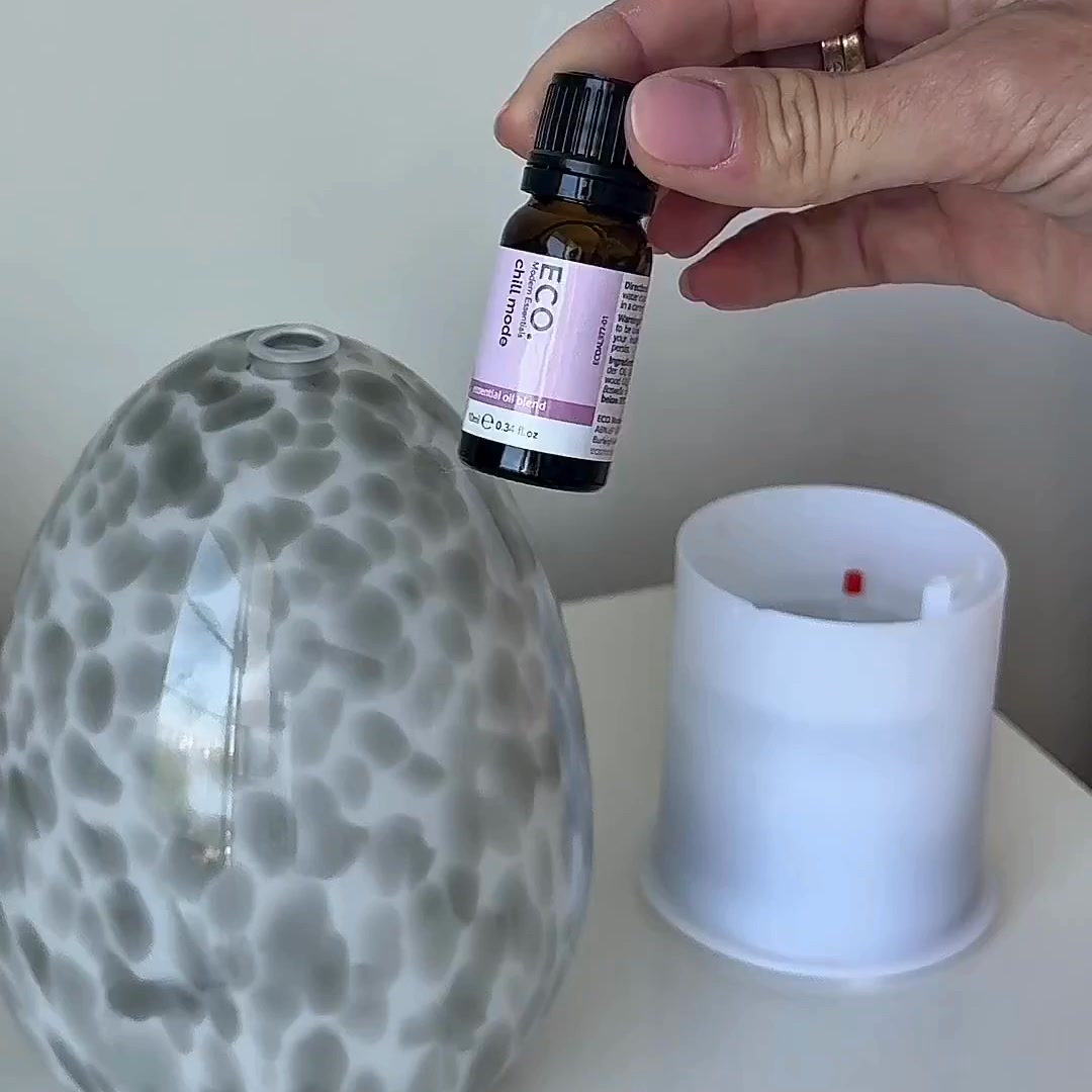 ECO. Modern Essentials Facebook ad from Apr 27, 2026