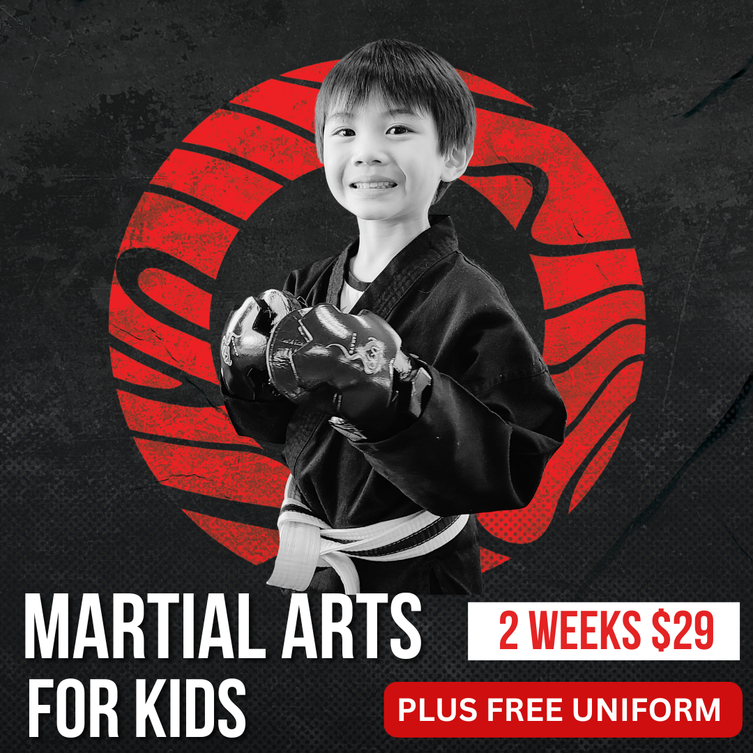 Dojo Karate Blaine Facebook ad