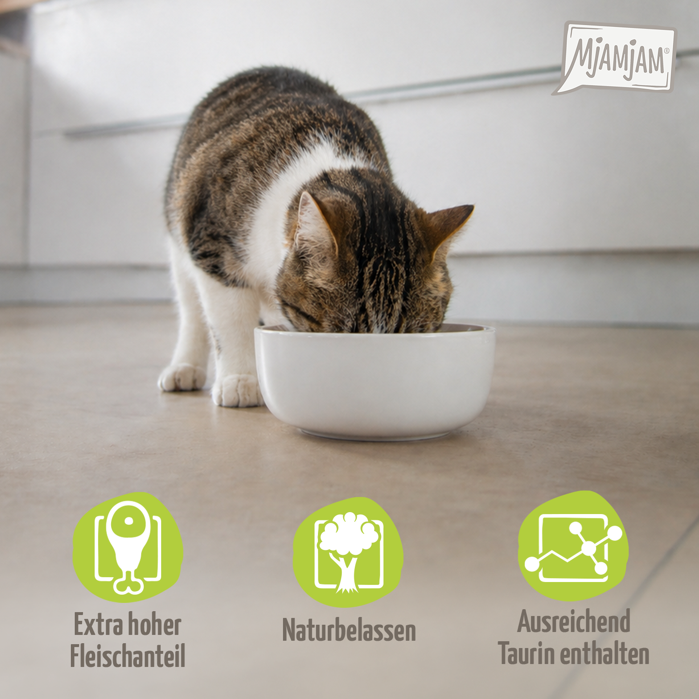 MjAMjAM Petfood Facebook ad: MhhhhhhjAMjAM!