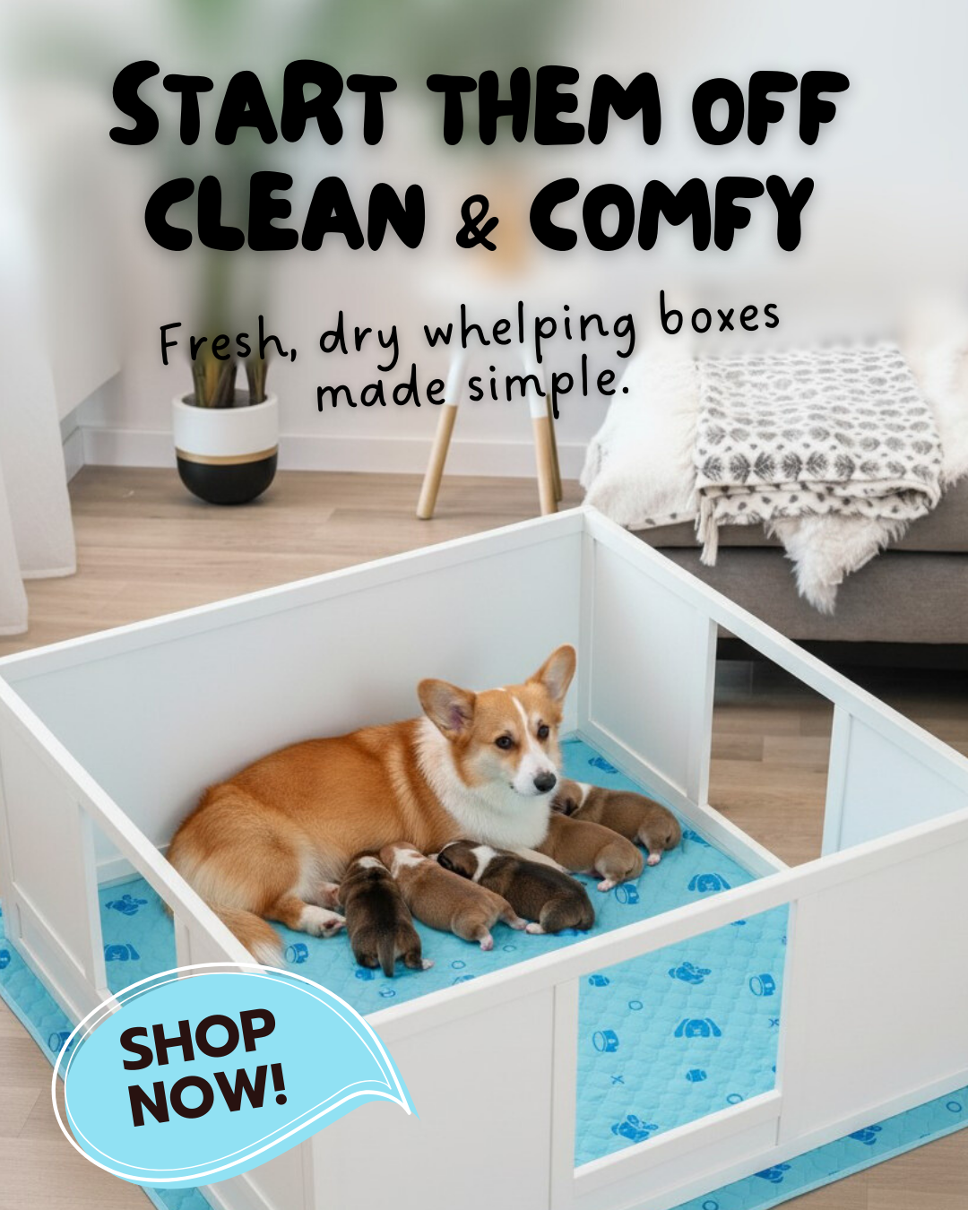 Potty Buddy Facebook ad