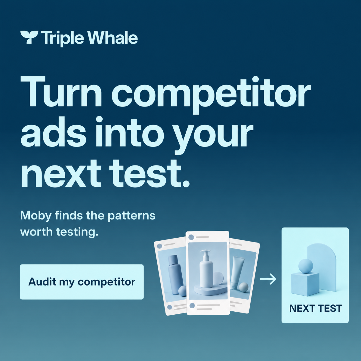 Triple Whale Facebook ad