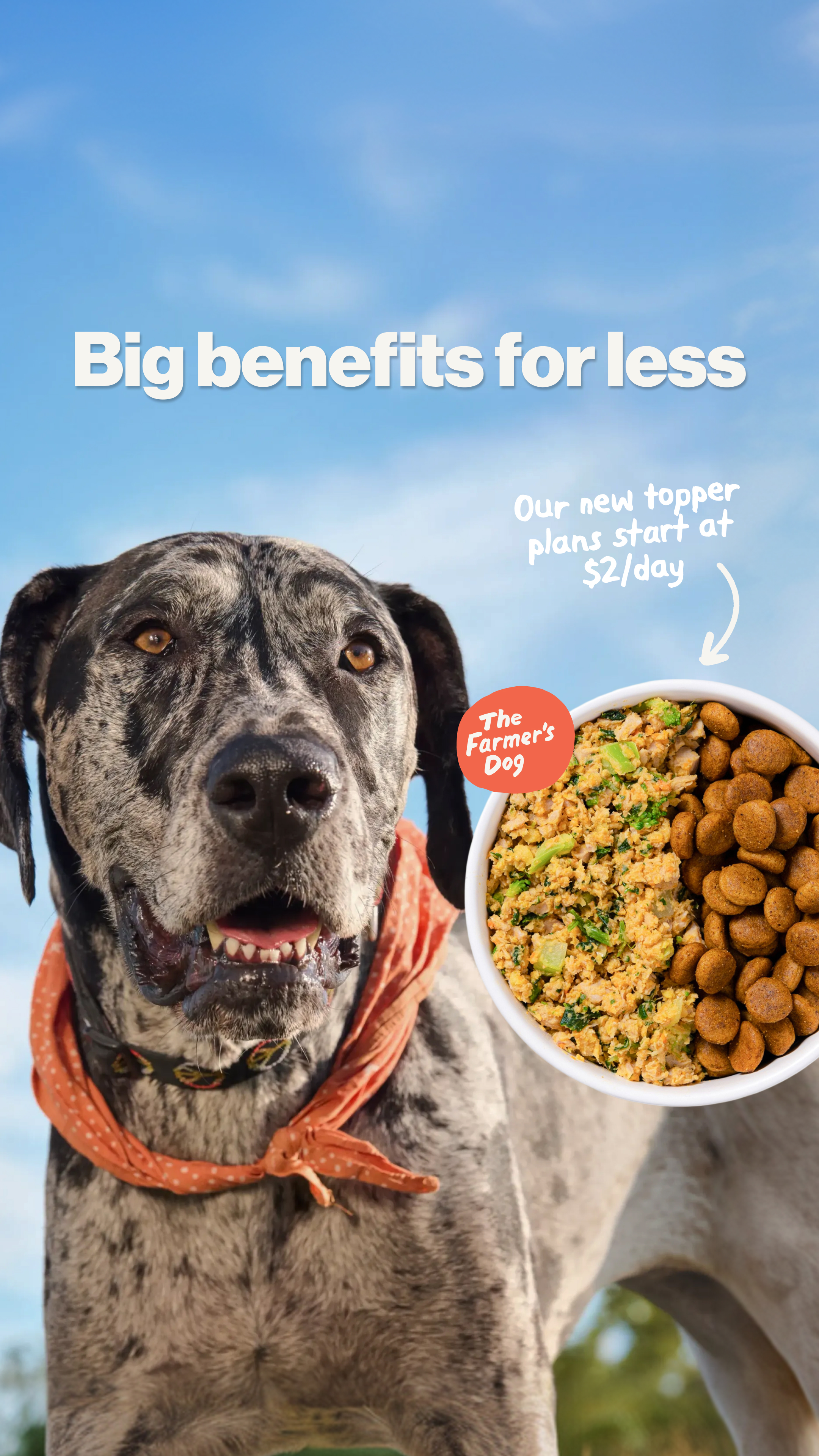 The Farmer's Dog Facebook ad