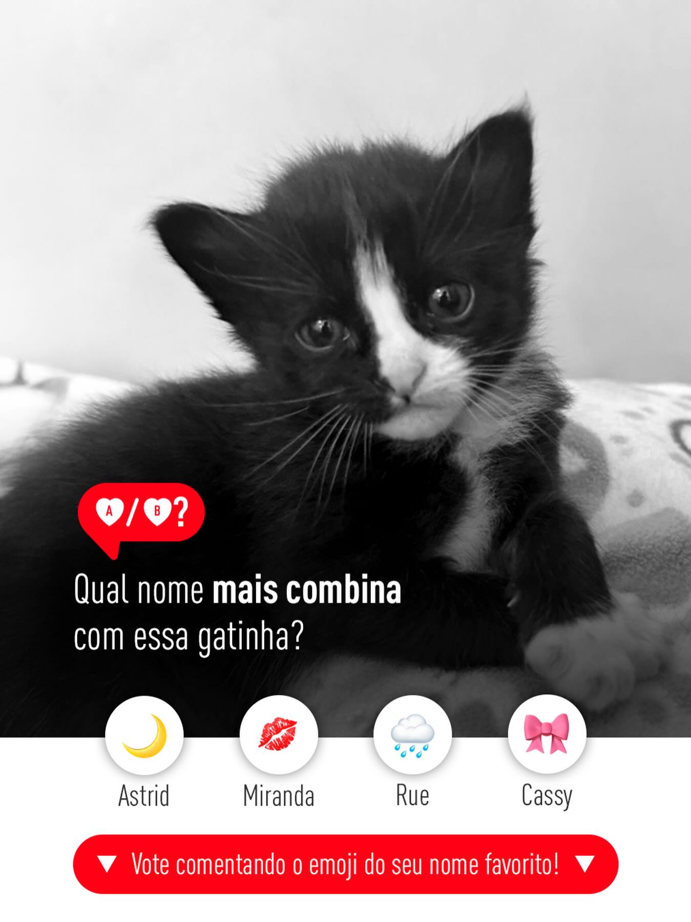 Royal Canin Facebook ad: Chegou a hora de escolher mais um nome…