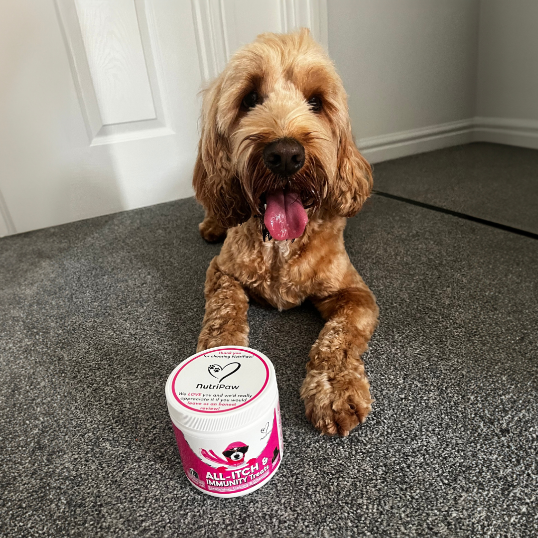 Nutri Paw Facebook ad
