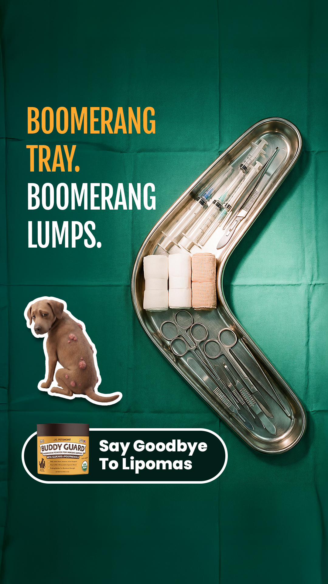 Petsmont Facebook ad