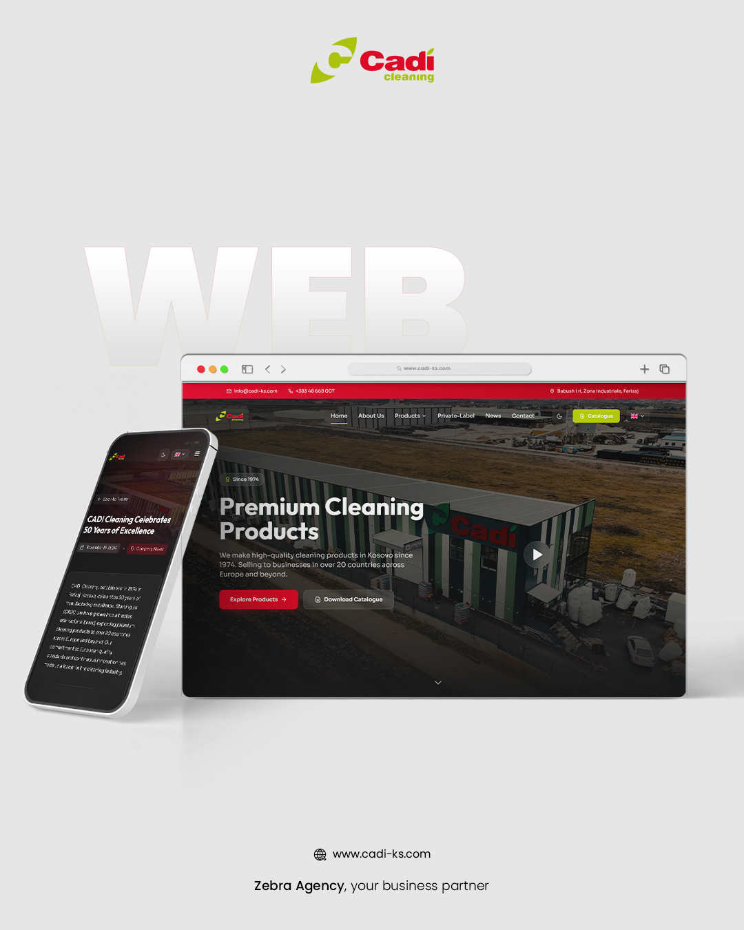 Zebra Agency Facebook ad: Cadi Cleaning · Full Digital Platform by Zebra…