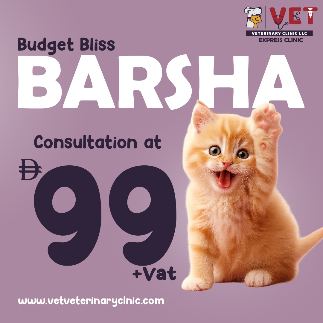 VET Veterinary Clinic Facebook ad