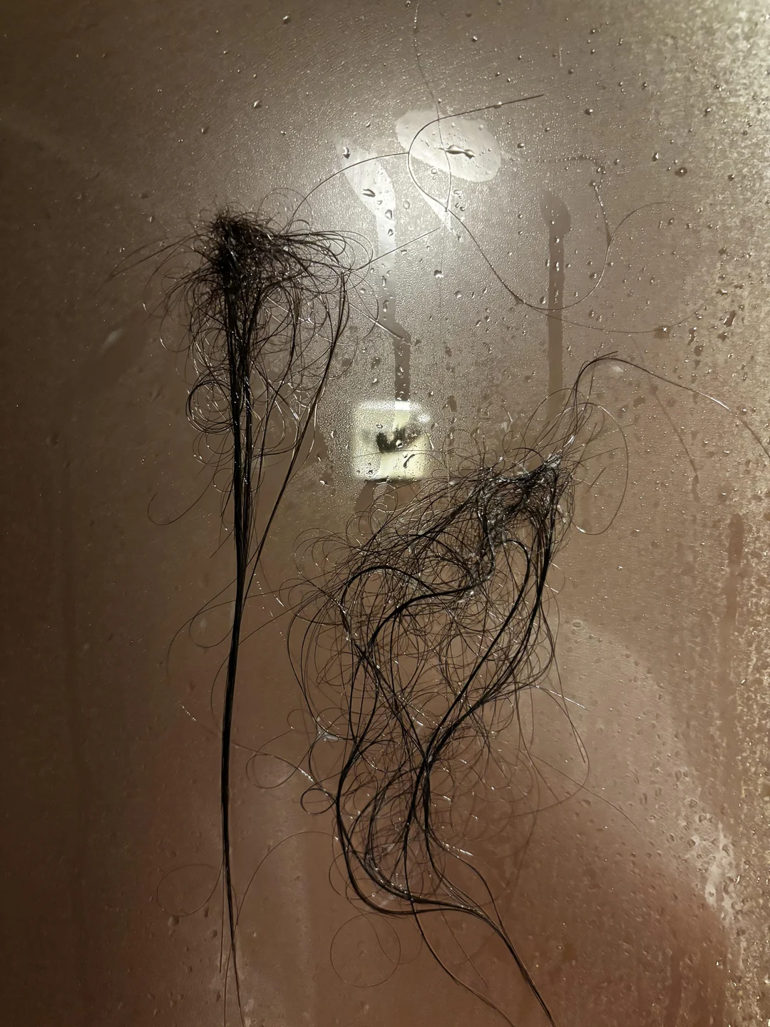 Cassie McCarthy Facebook ad: My sister's perimenopause hair loss stopped in 3 months…