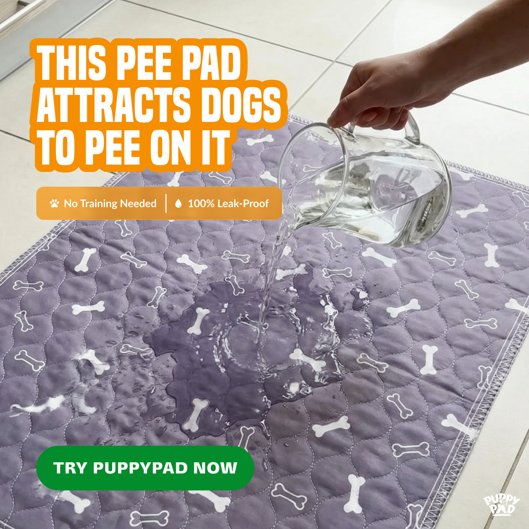 PuppyPad Facebook ad
