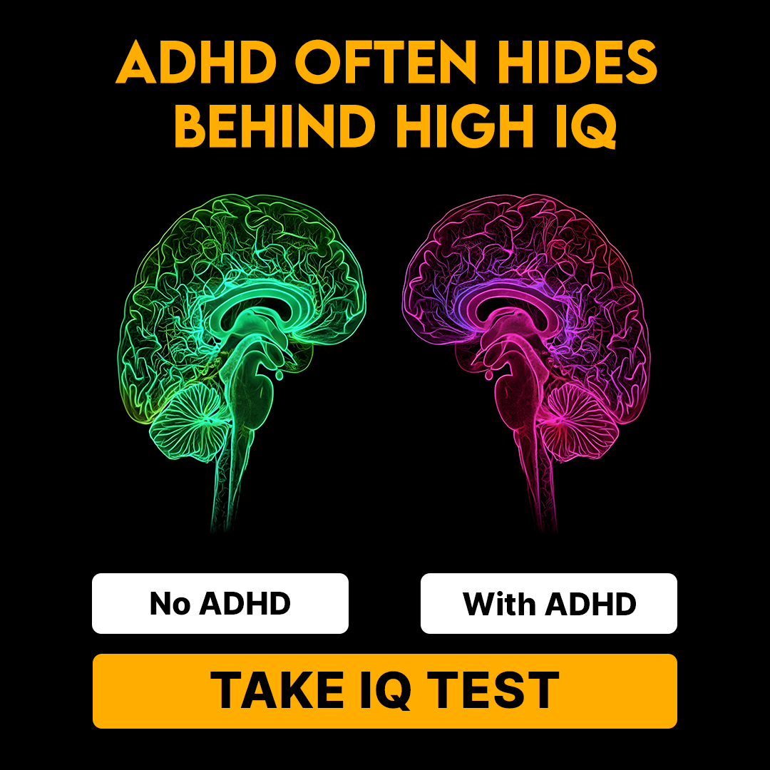 My IQ Facebook ad