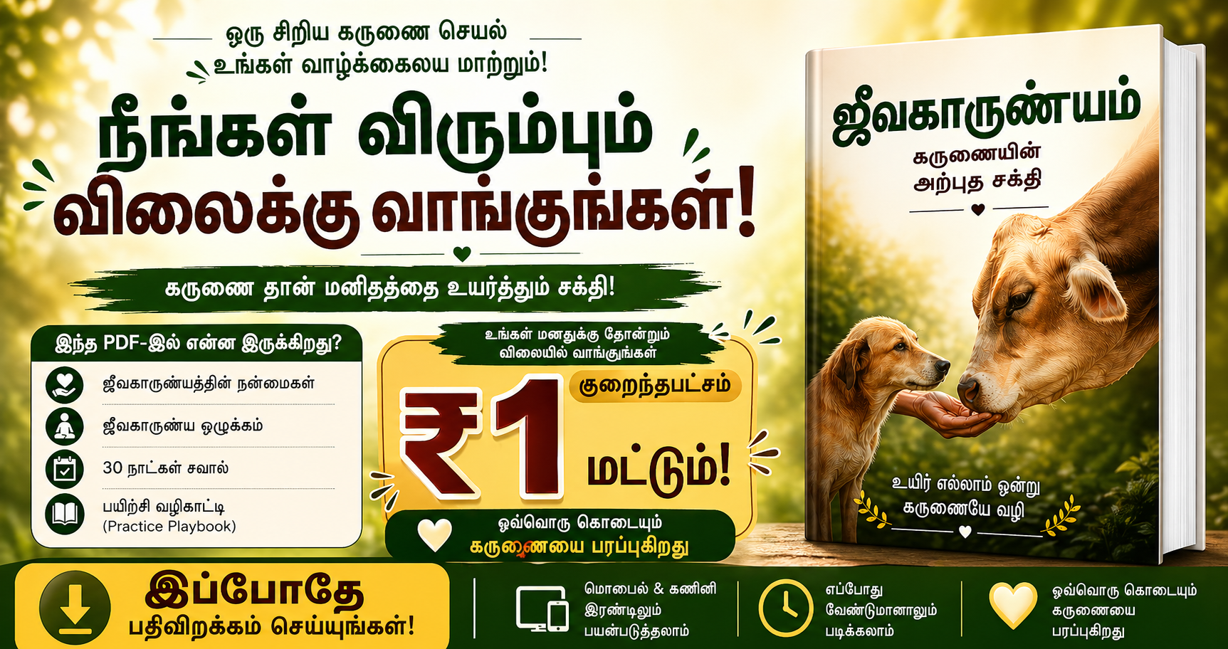 IP Dreamz Facebook ad