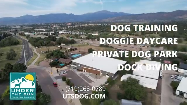 Under the Sun Dog Training and Daycare Facebook ad: Every Dog is Unique, So Is Our Training!