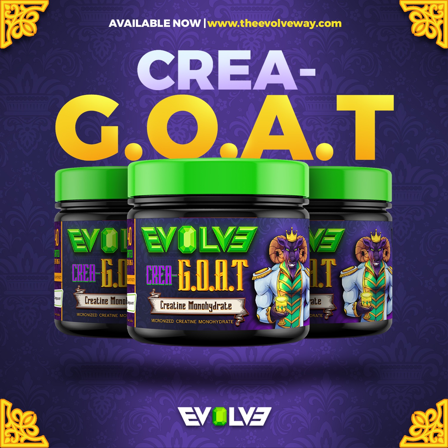 Evolve Way Facebook ad