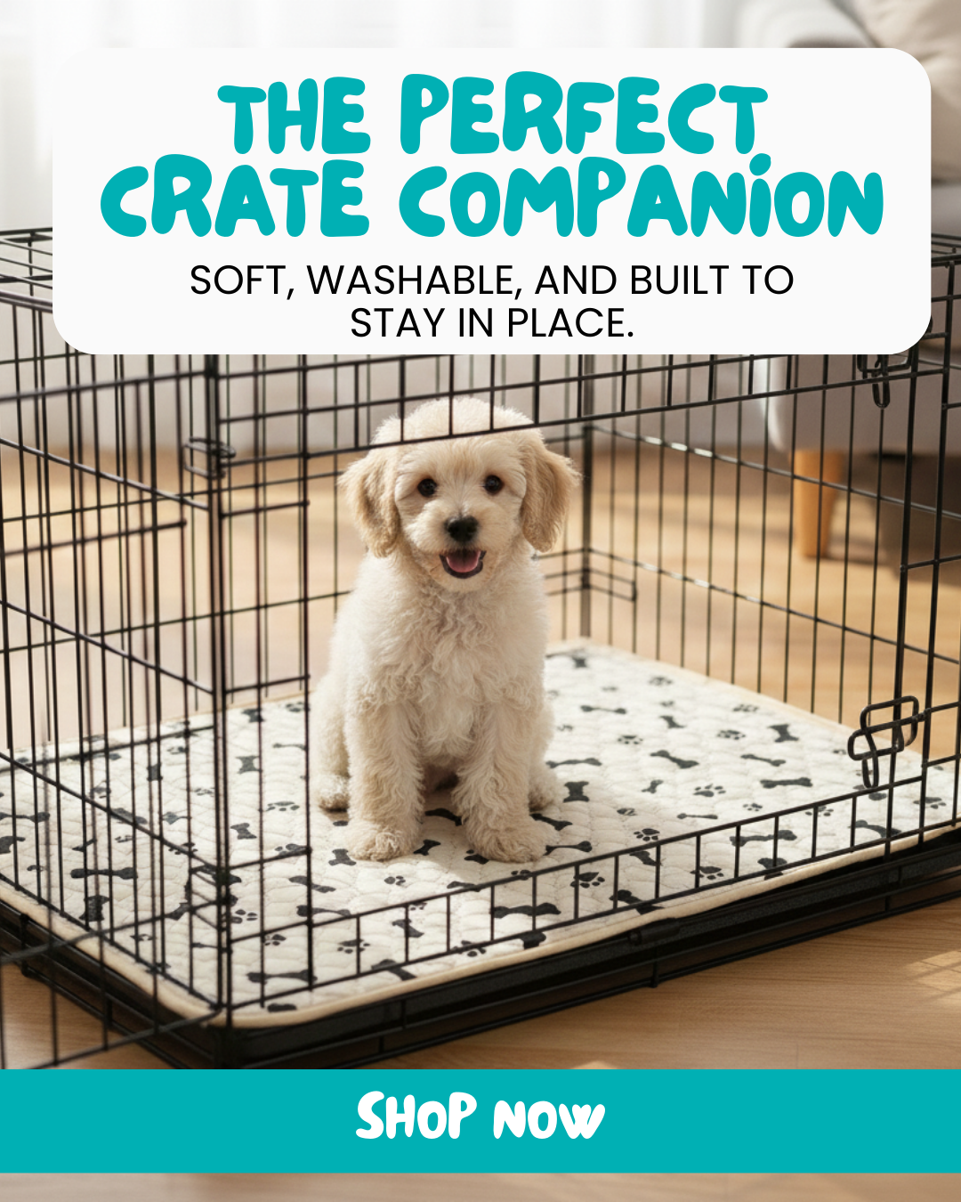 Potty Buddy Facebook ad