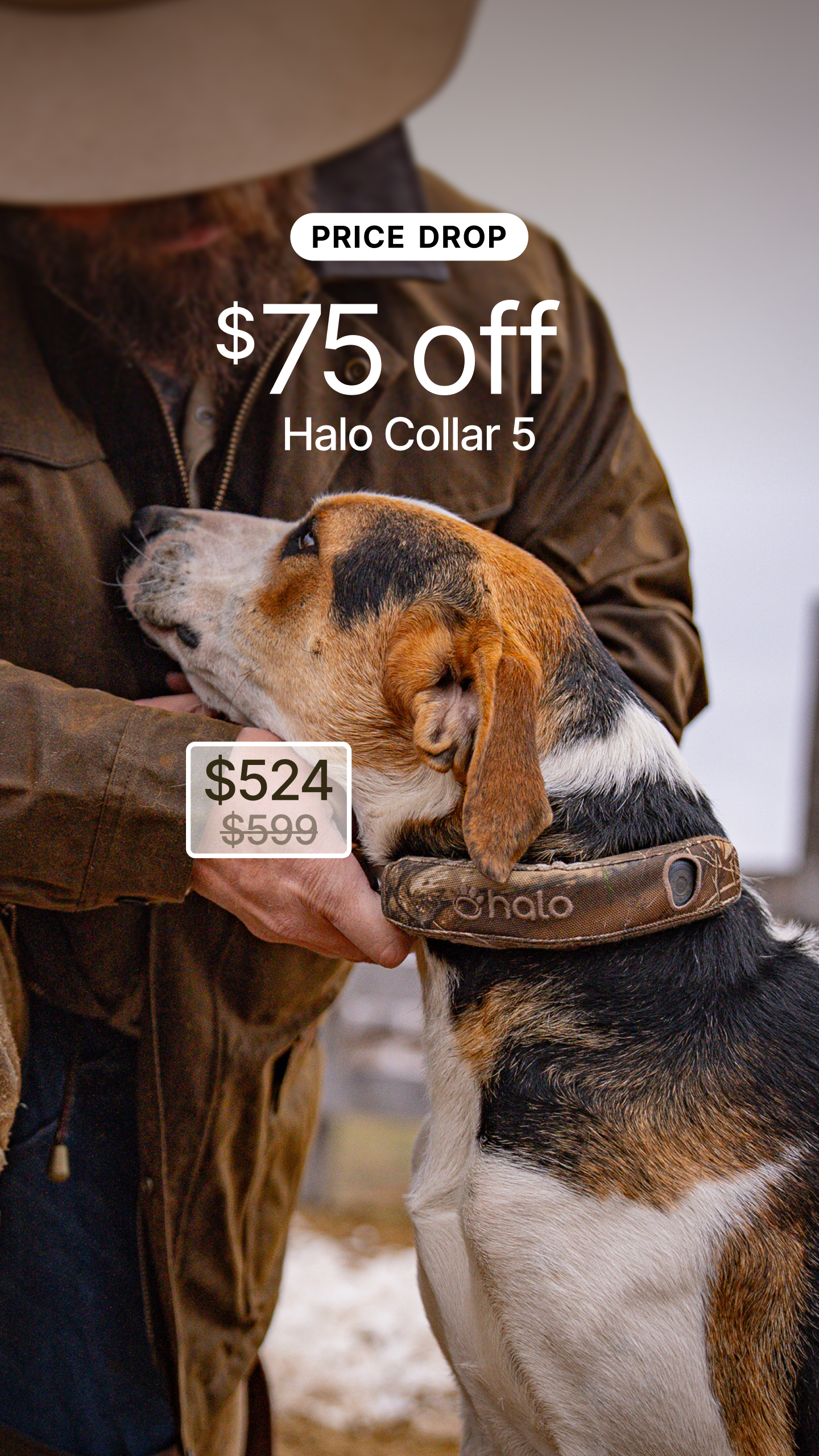 Halo Collar Facebook ad