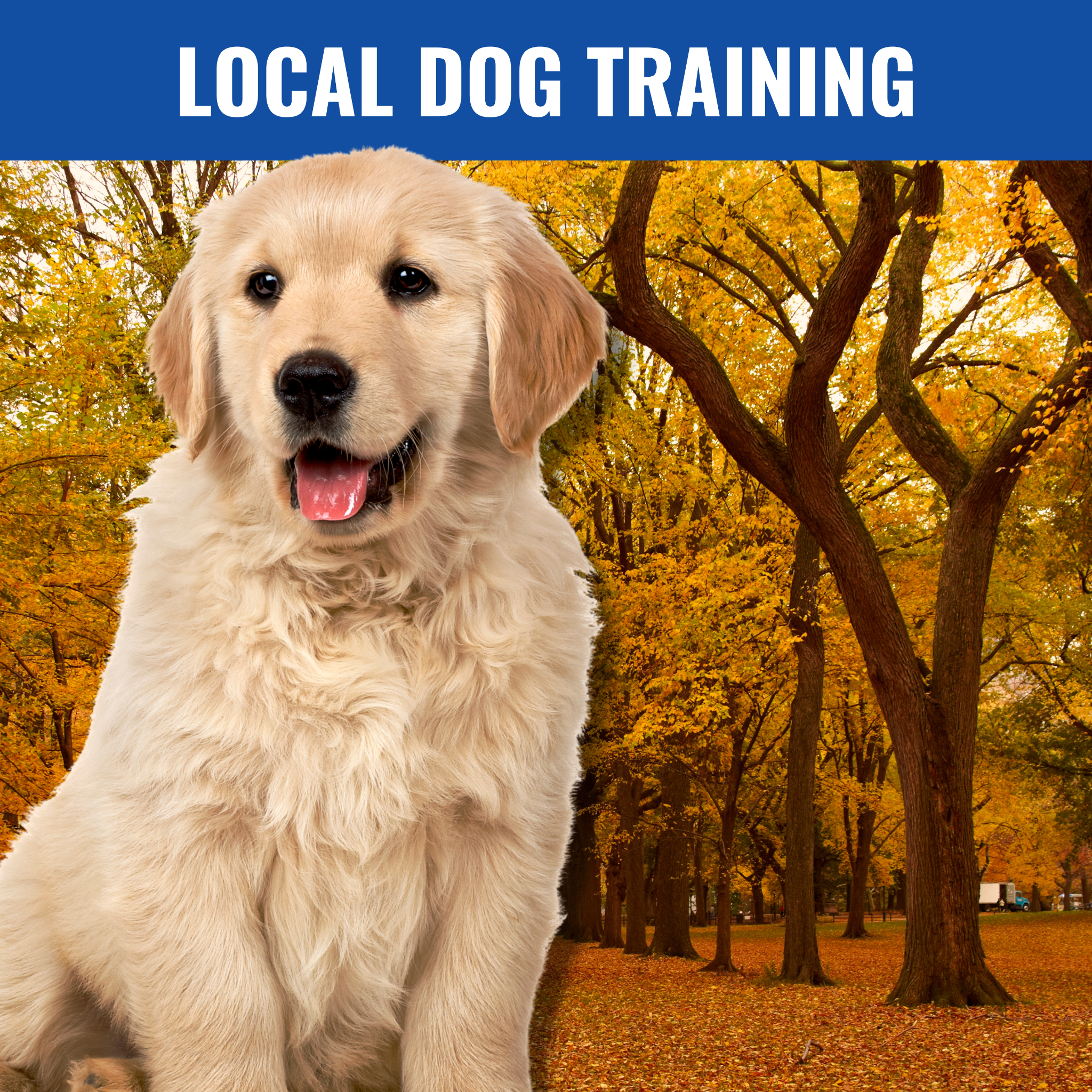 Blue Line K-9 Dog Training Facebook ad: PUMPKIN SPICE & EVERYTHING NICE… INCLUDING A WELL-TRAINED…