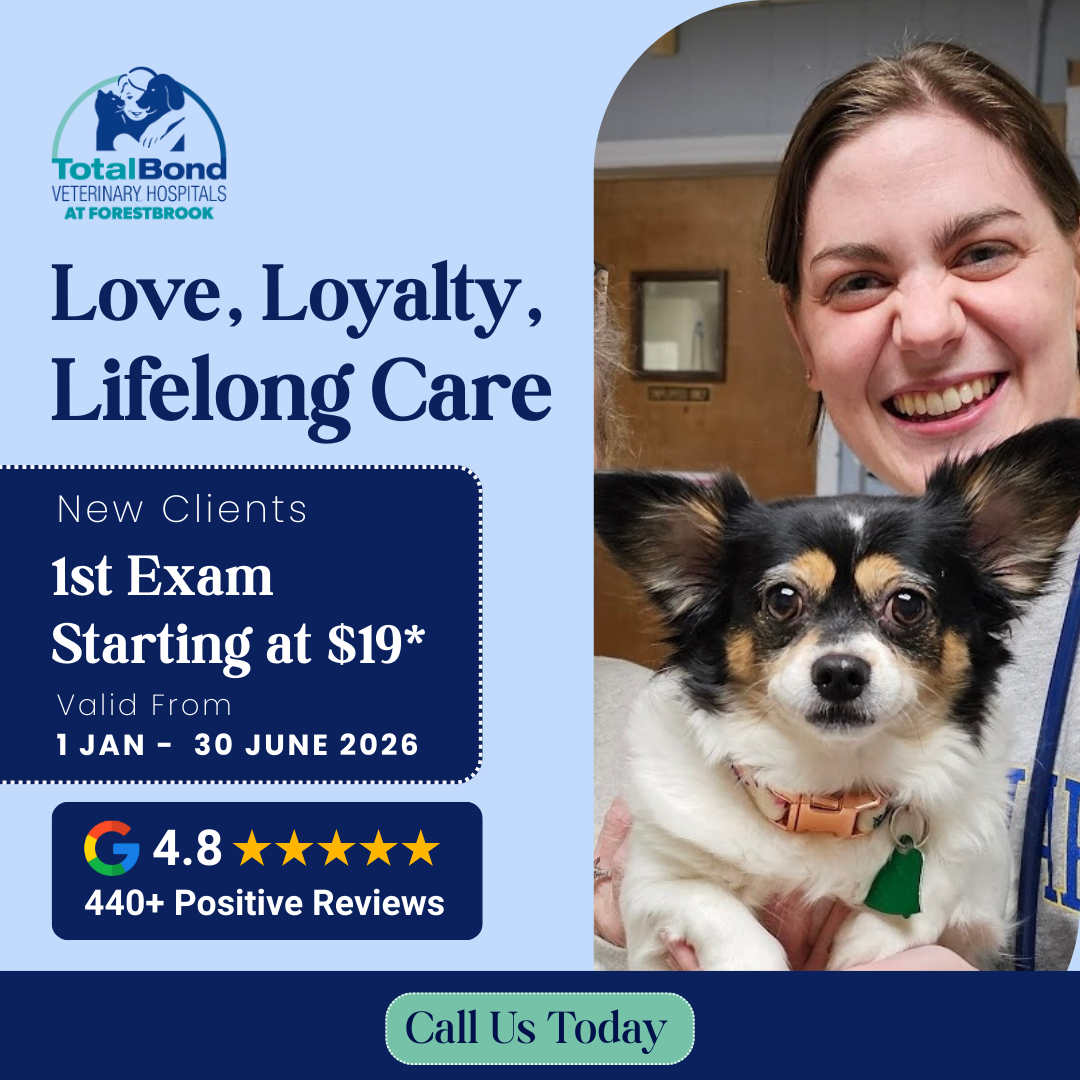 TotalBond Veterinary Hospital at Forestbrook Facebook ad