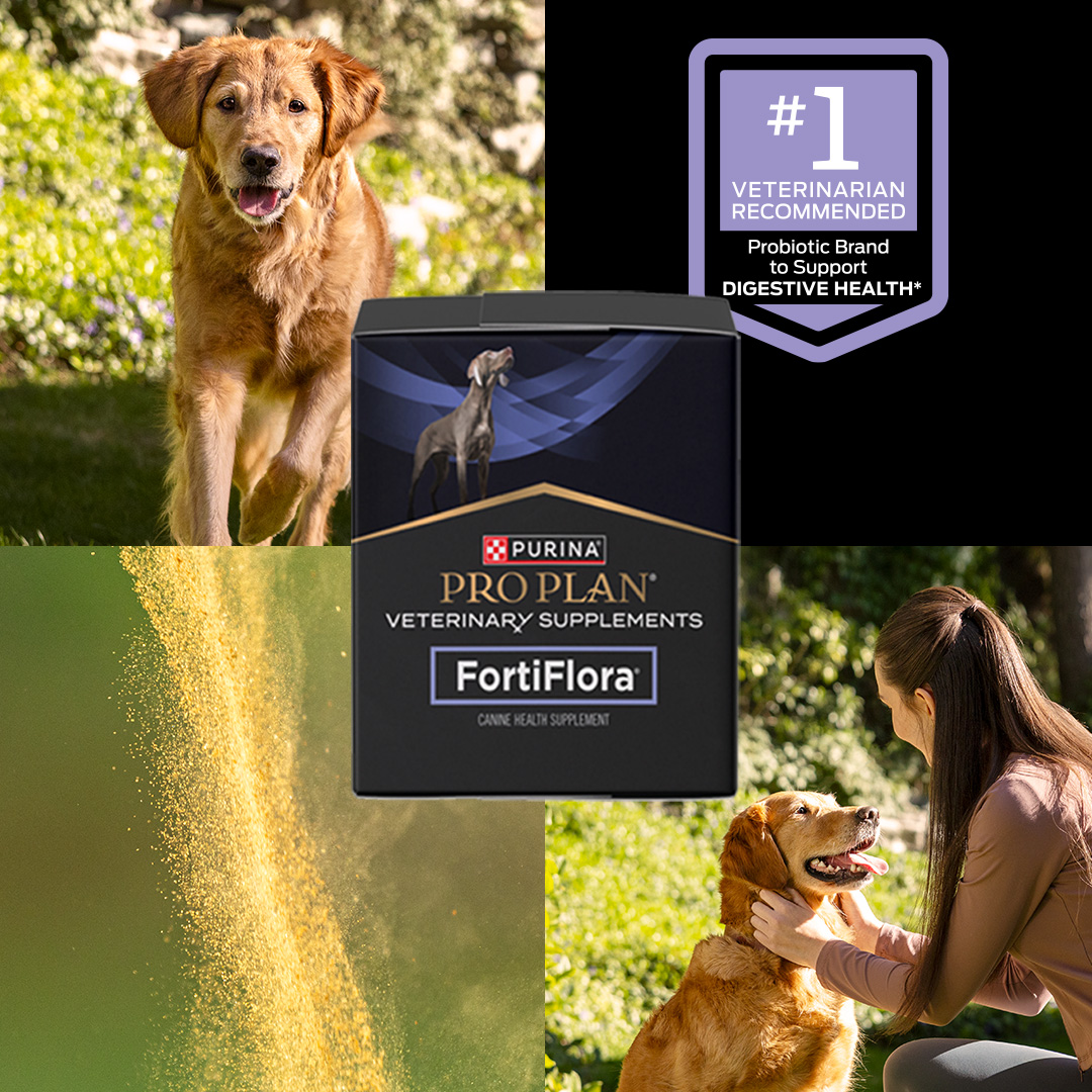 Purina Pro Plan Vet Facebook ad