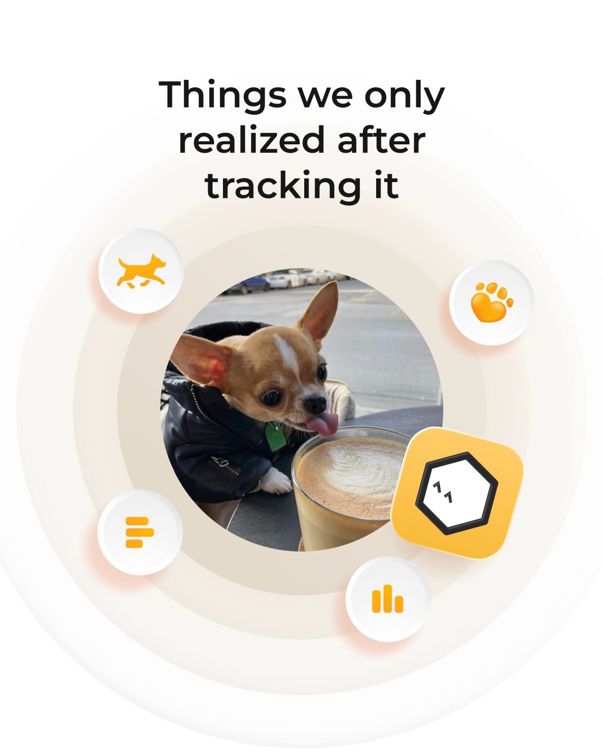 Petcube Facebook ad