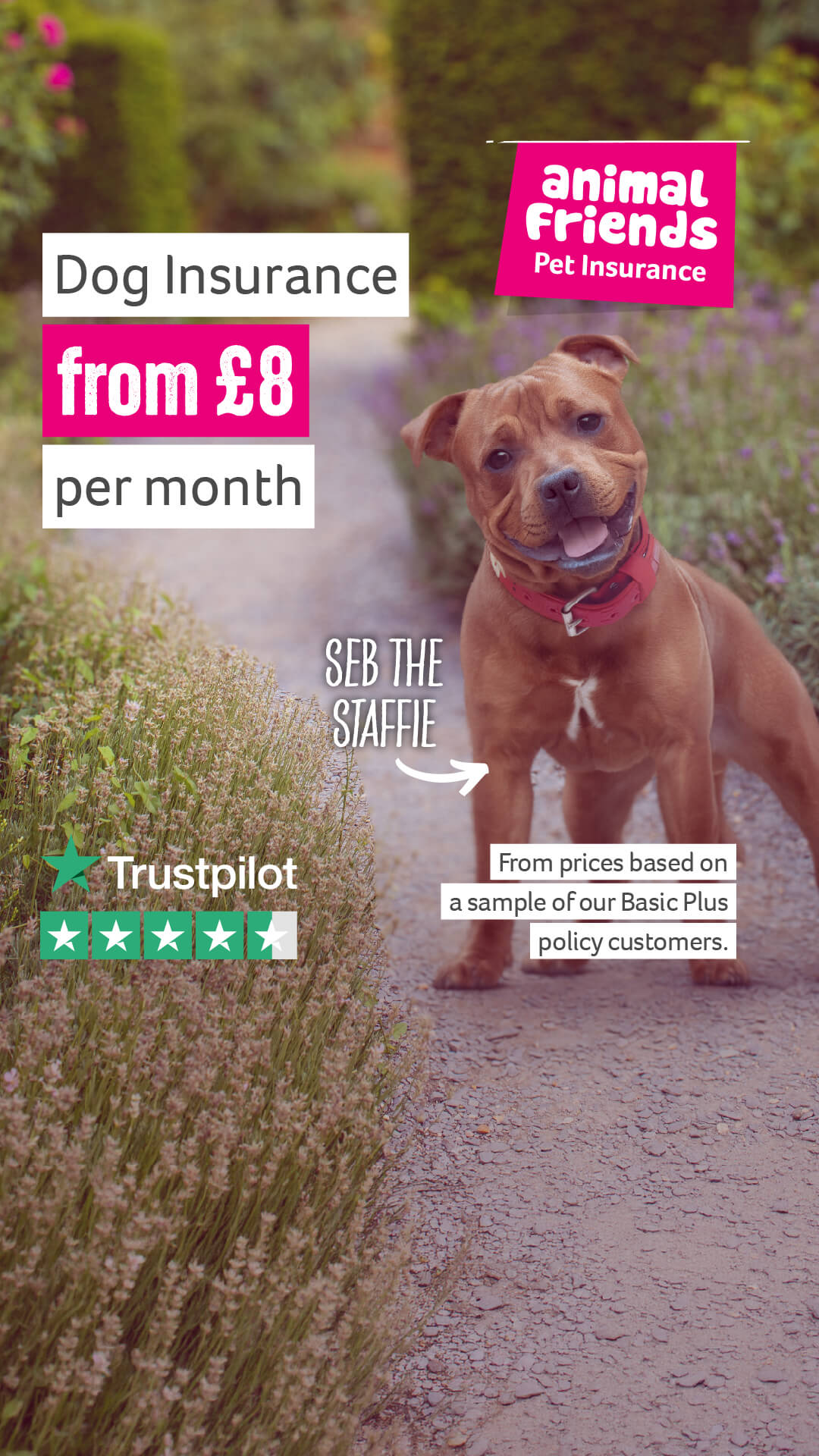 Animal Friends Pet Insurance Facebook ad