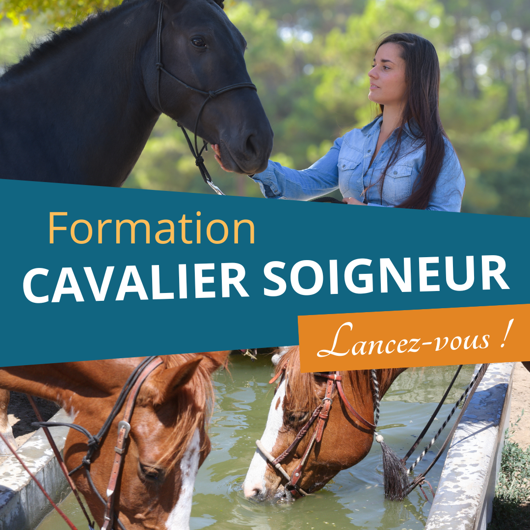 Centre Européen de Formation Facebook ad: Travaillez avec les chevaux dans quelques mois grâce…