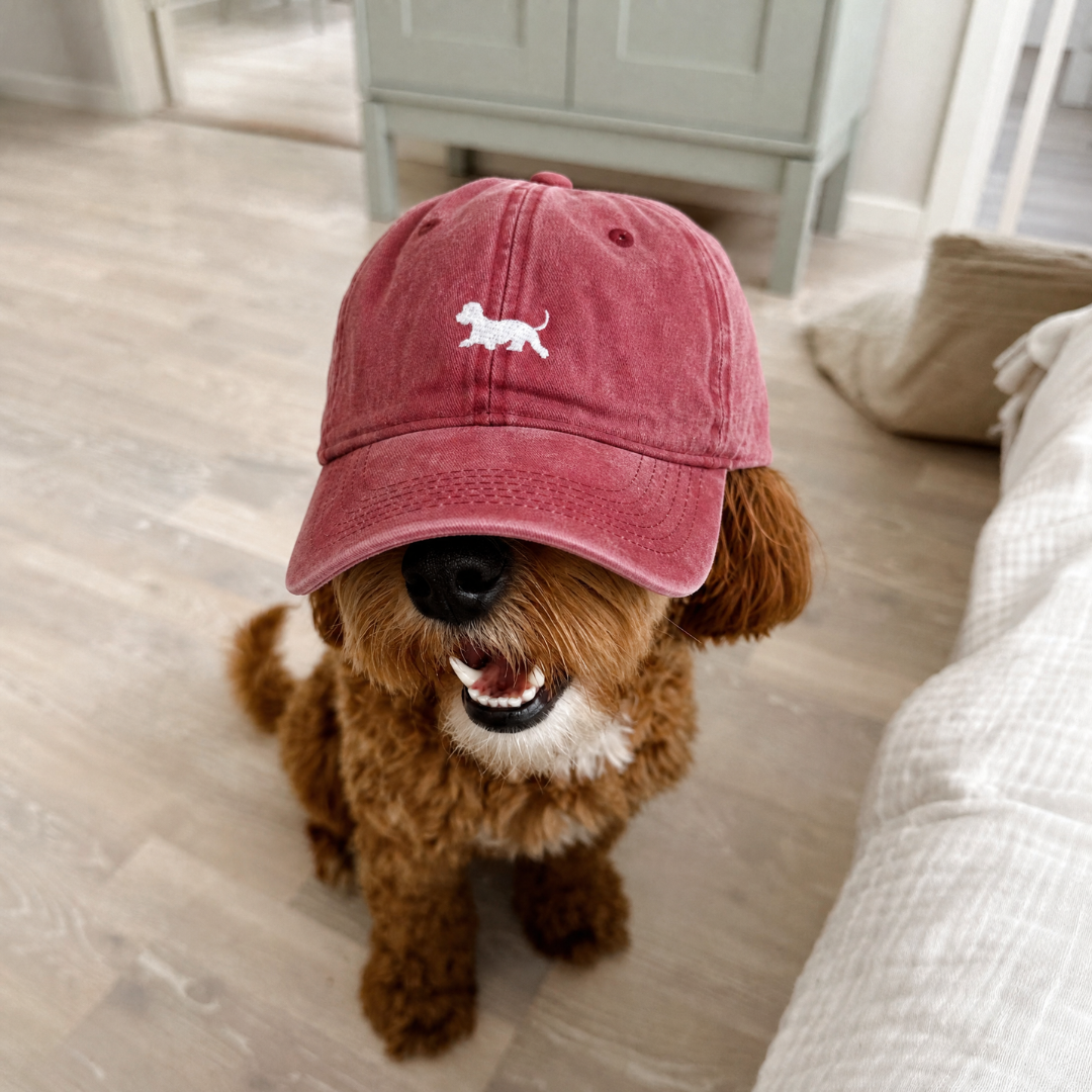 CAPS Apparel Facebook ad