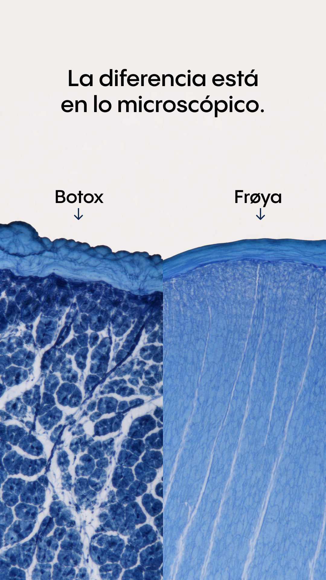 Frøya Organics Facebook ad