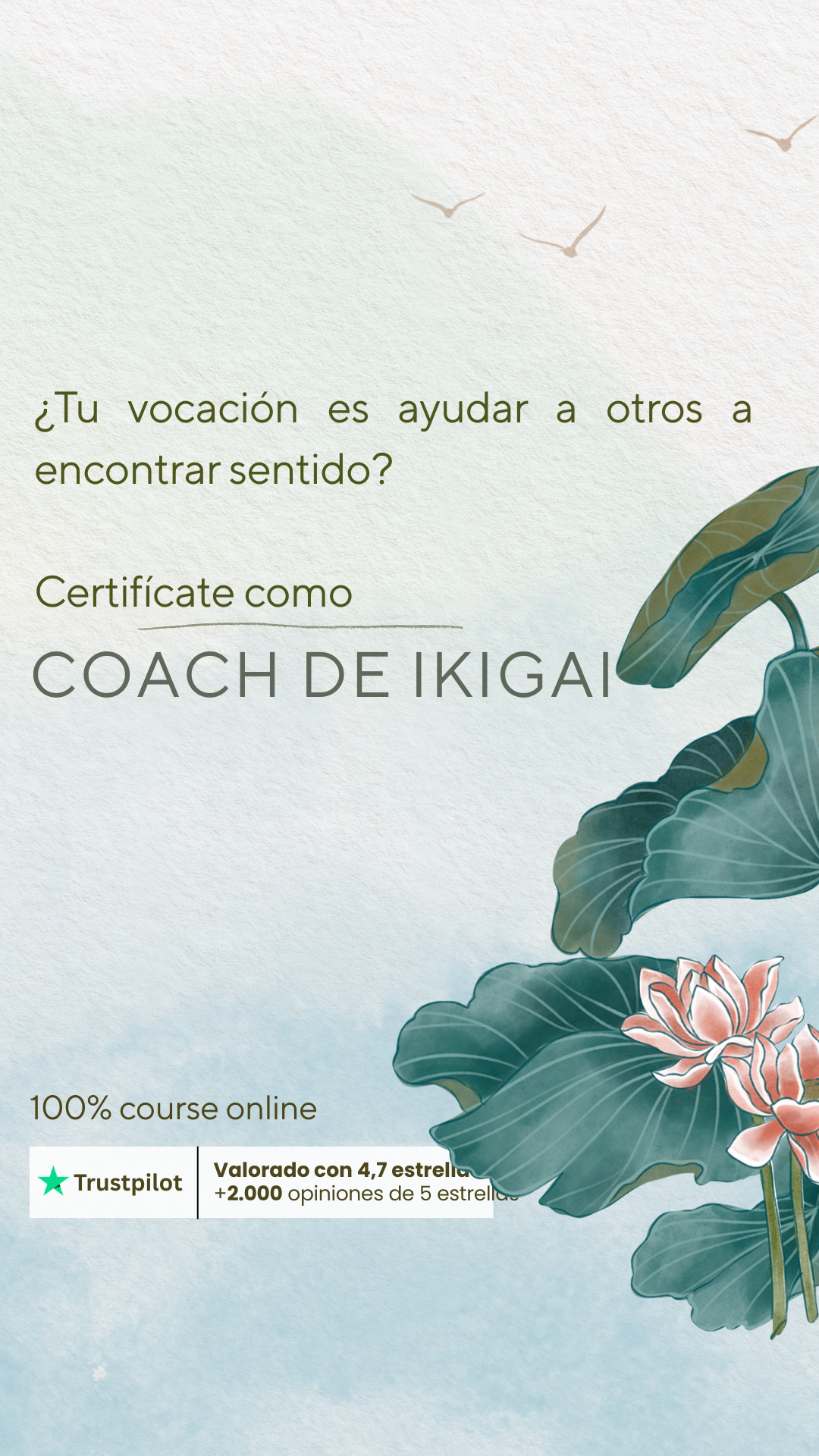 Efficient Coach Facebook ad