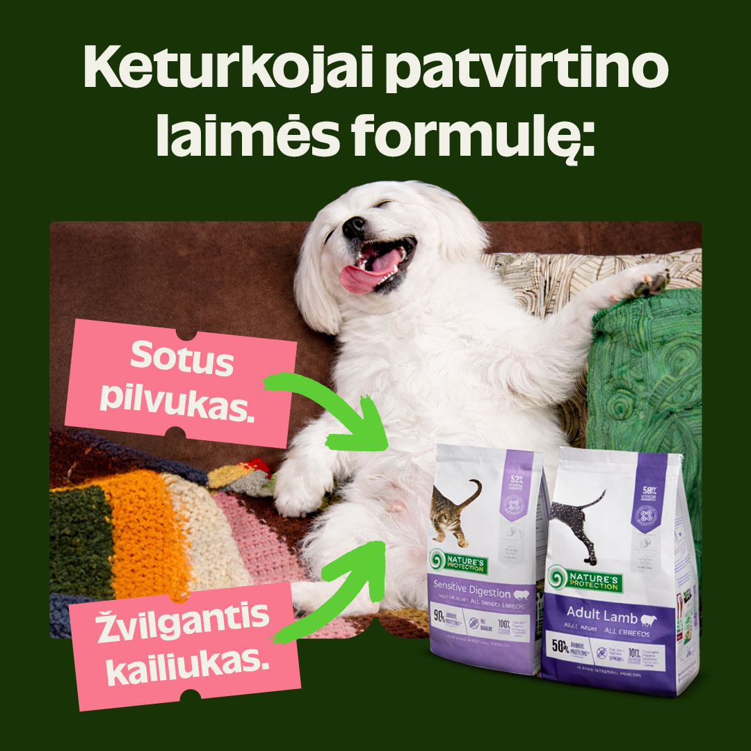 KIKA Facebook ad