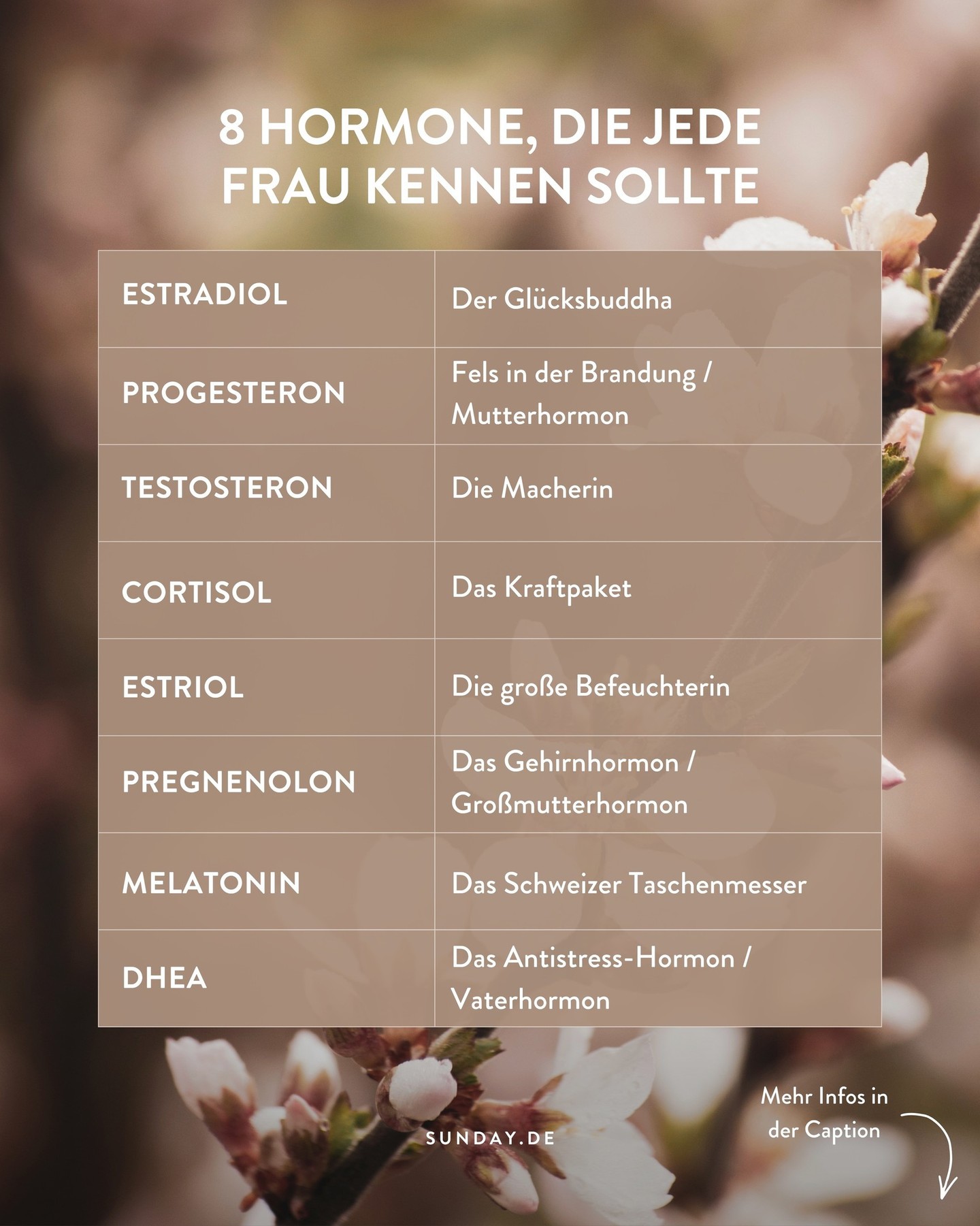 Sunday Natural Facebook ad