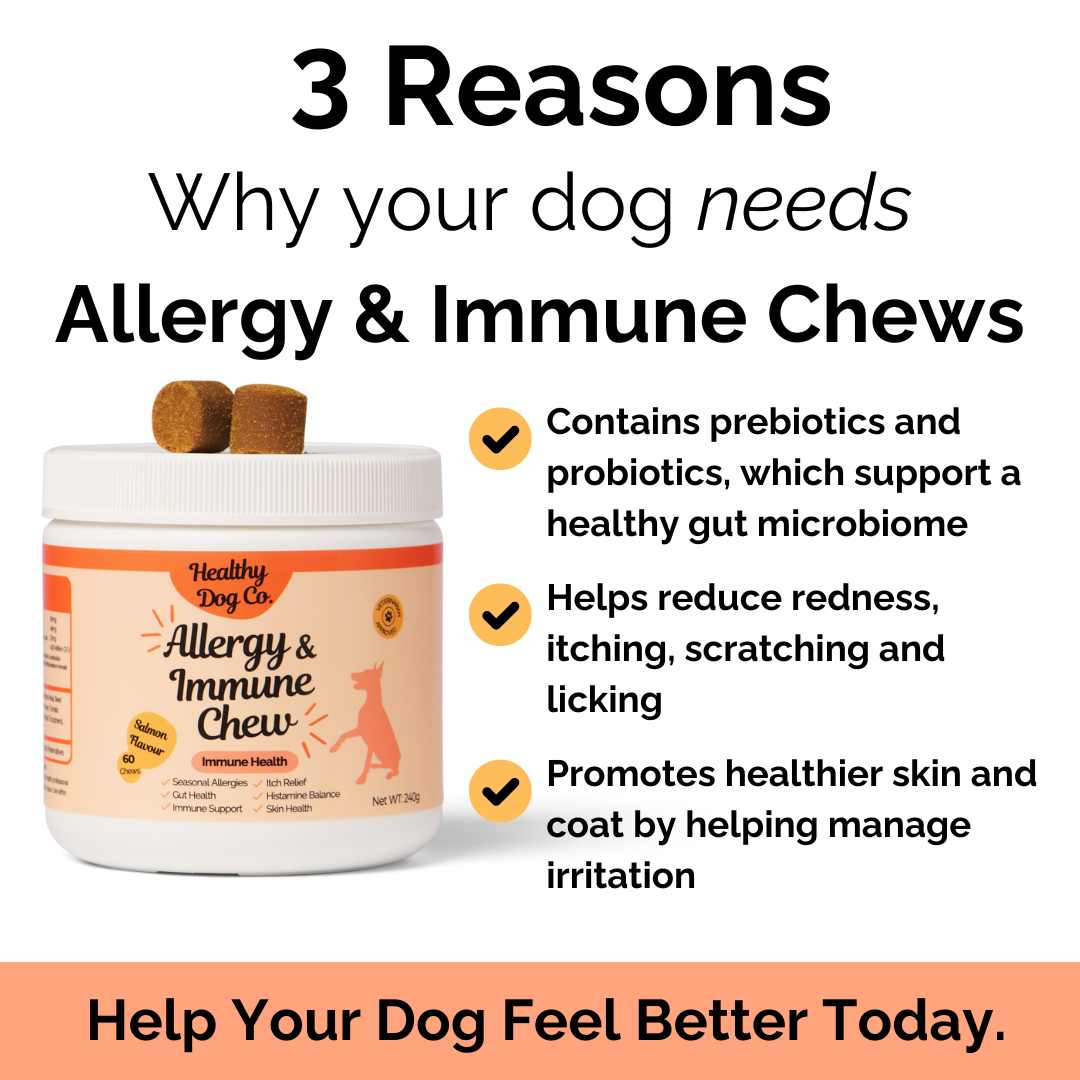 Healthy Dog Co Facebook ad: Help Calm Your Dog’s Allergies