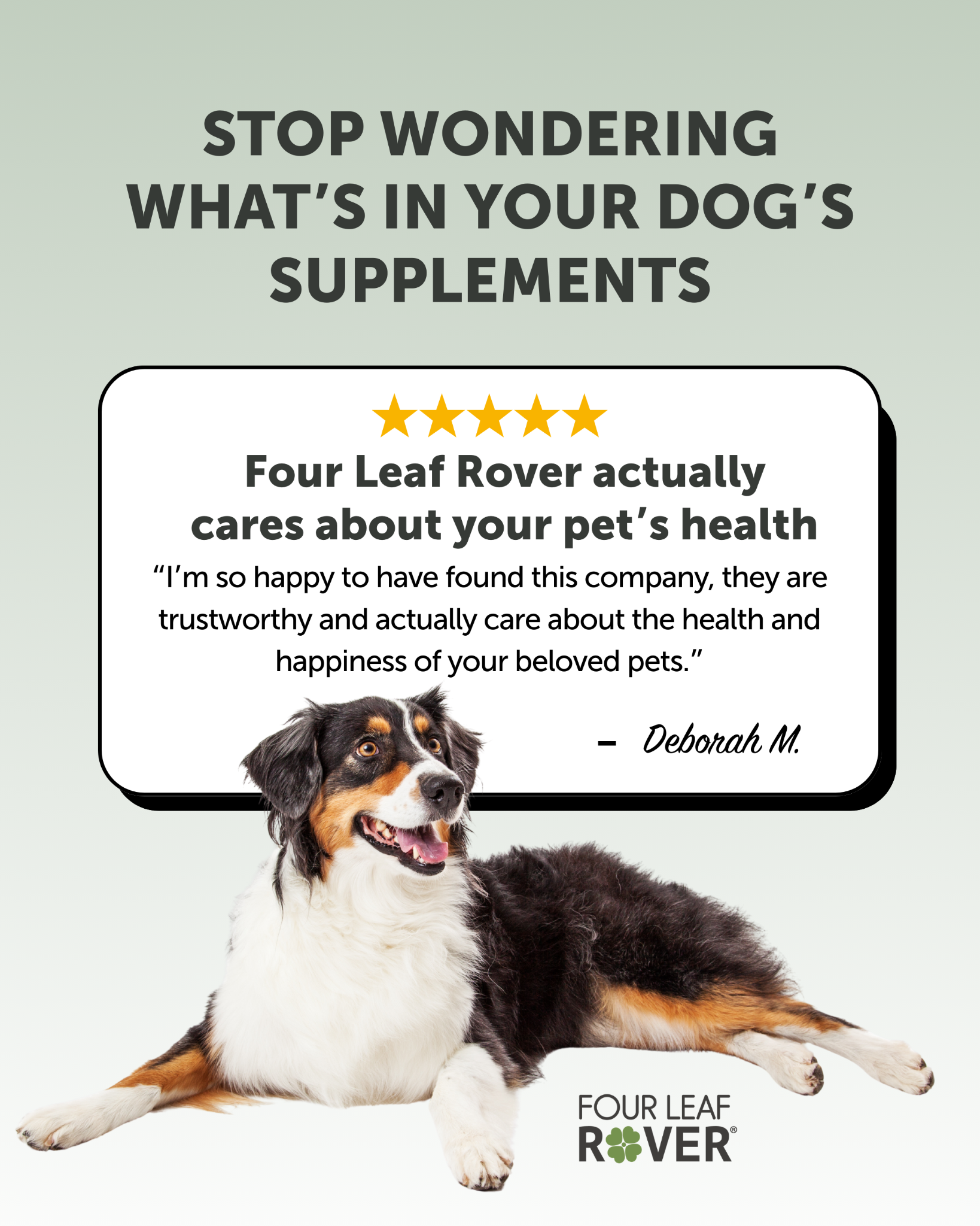 Four Leaf Rover Facebook ad