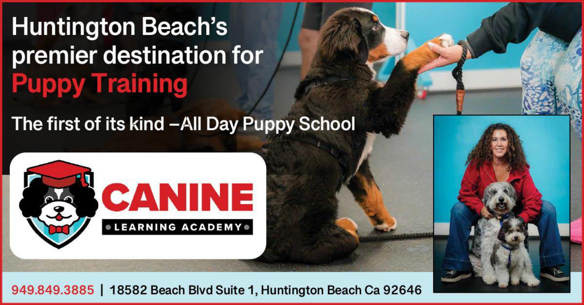 Canine Learning Academy Facebook ad: We are shaping the next generation of well-behaved…