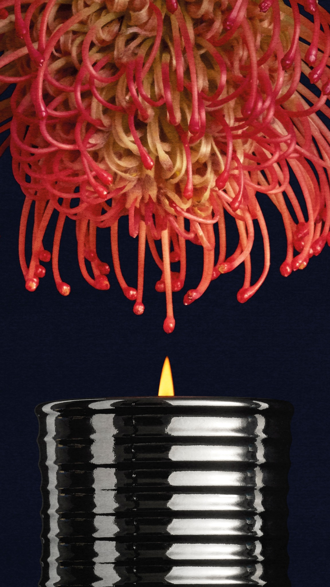 LOEWE Perfumes Facebook ad